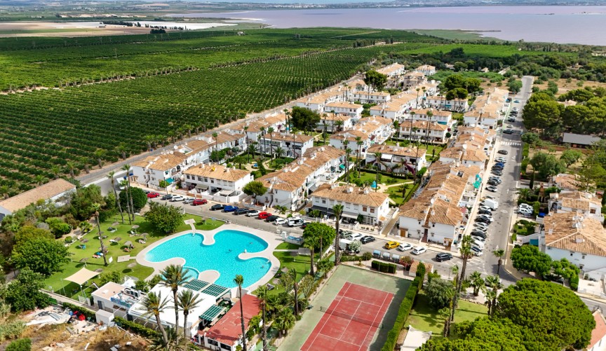Återförsäljning - Bungalow -
Torrevieja - Costa Blanca