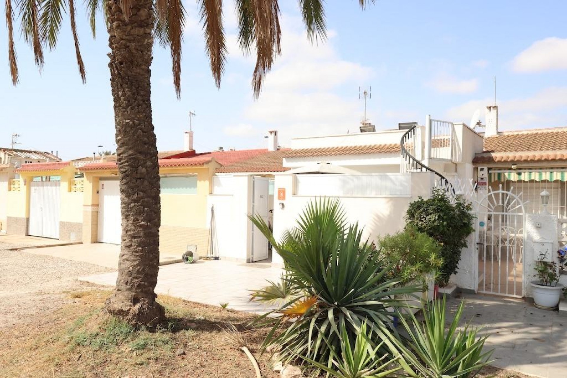 Återförsäljning - Bungalow -
Torrevieja - Costa Blanca