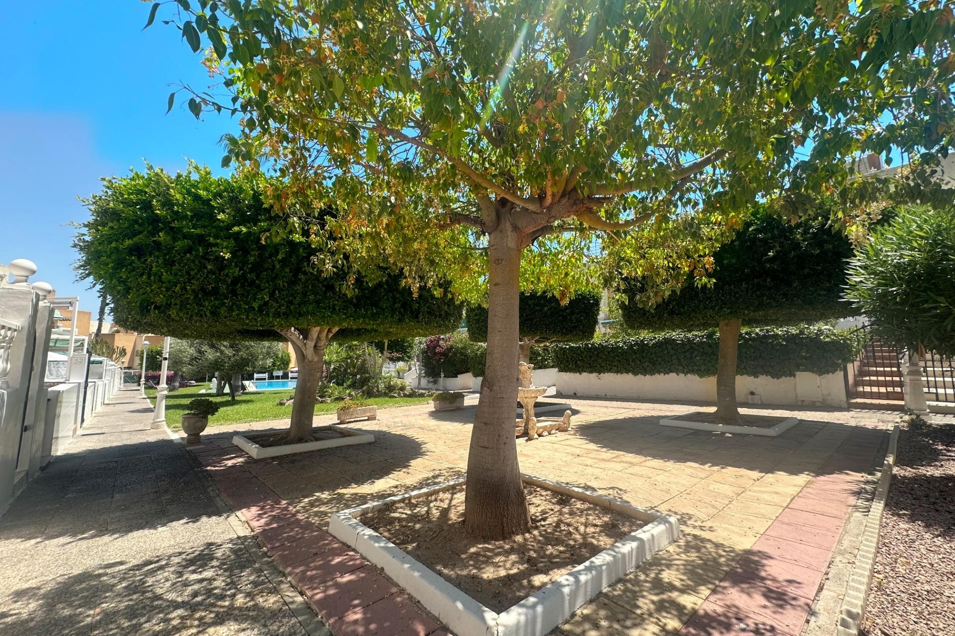 Återförsäljning - Bungalow -
Torrevieja - La Mata