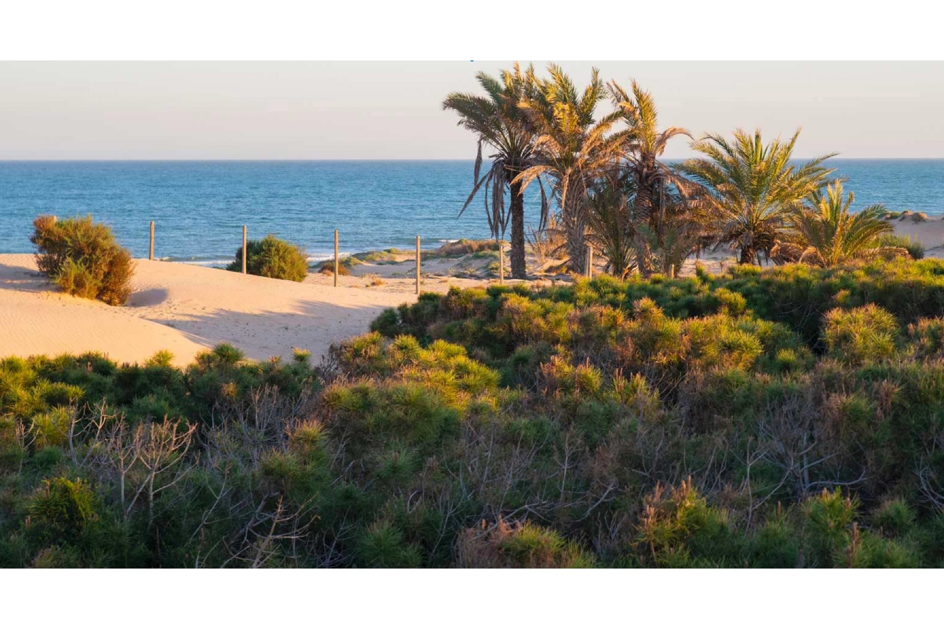 Återförsäljning - Duplex -
Los Montesinos - Costa Blanca