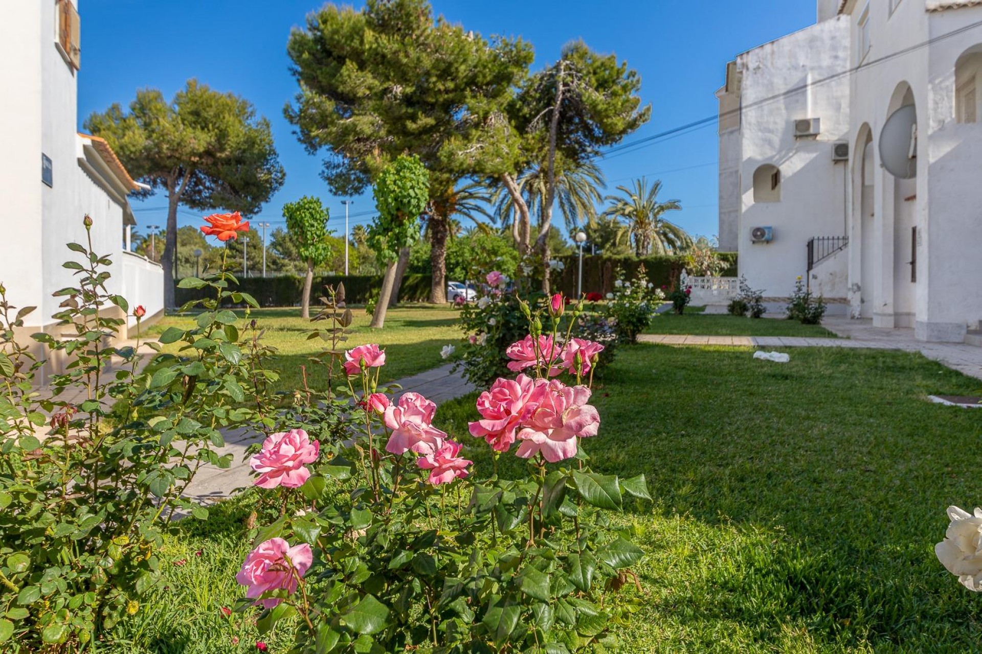 Återförsäljning - Duplex -
Torrevieja - Calas Blanca