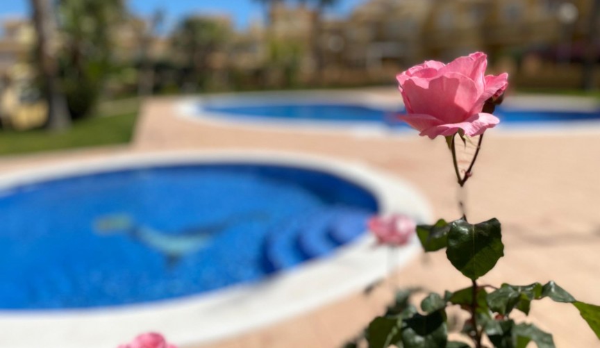 Återförsäljning - Duplex -
Torrevieja - Los Altos