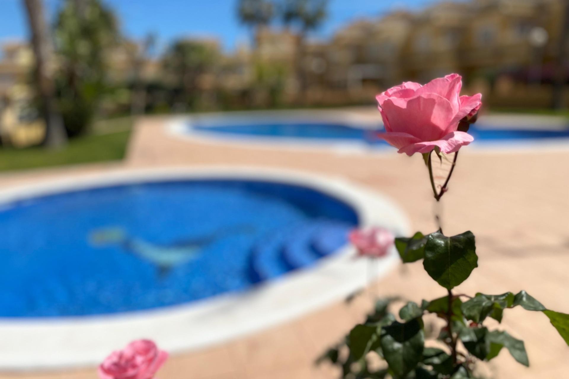 Återförsäljning - Duplex -
Torrevieja - Los Altos