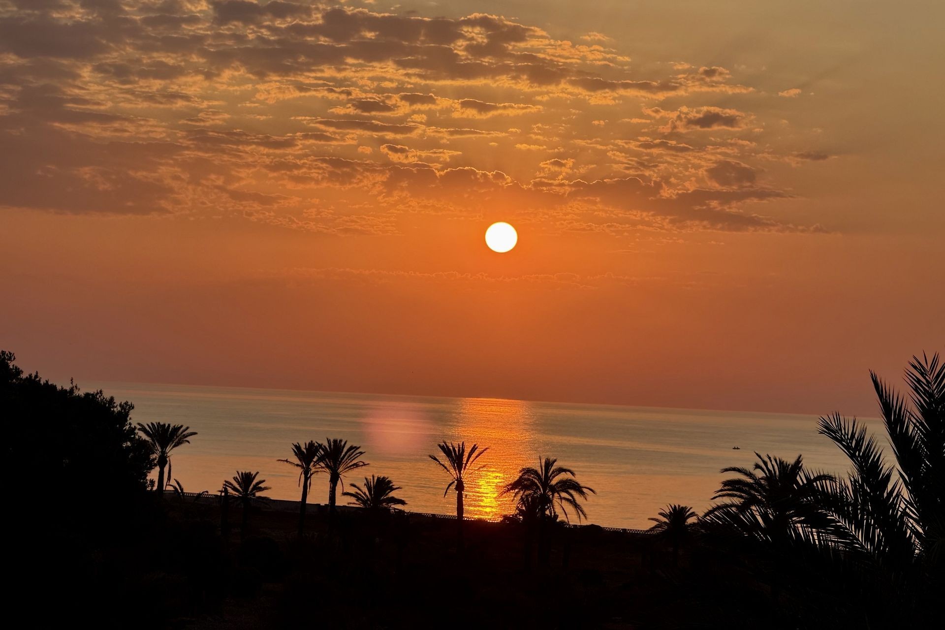 Återförsäljning - Takvåning -
San Miguel de Salinas - Inland