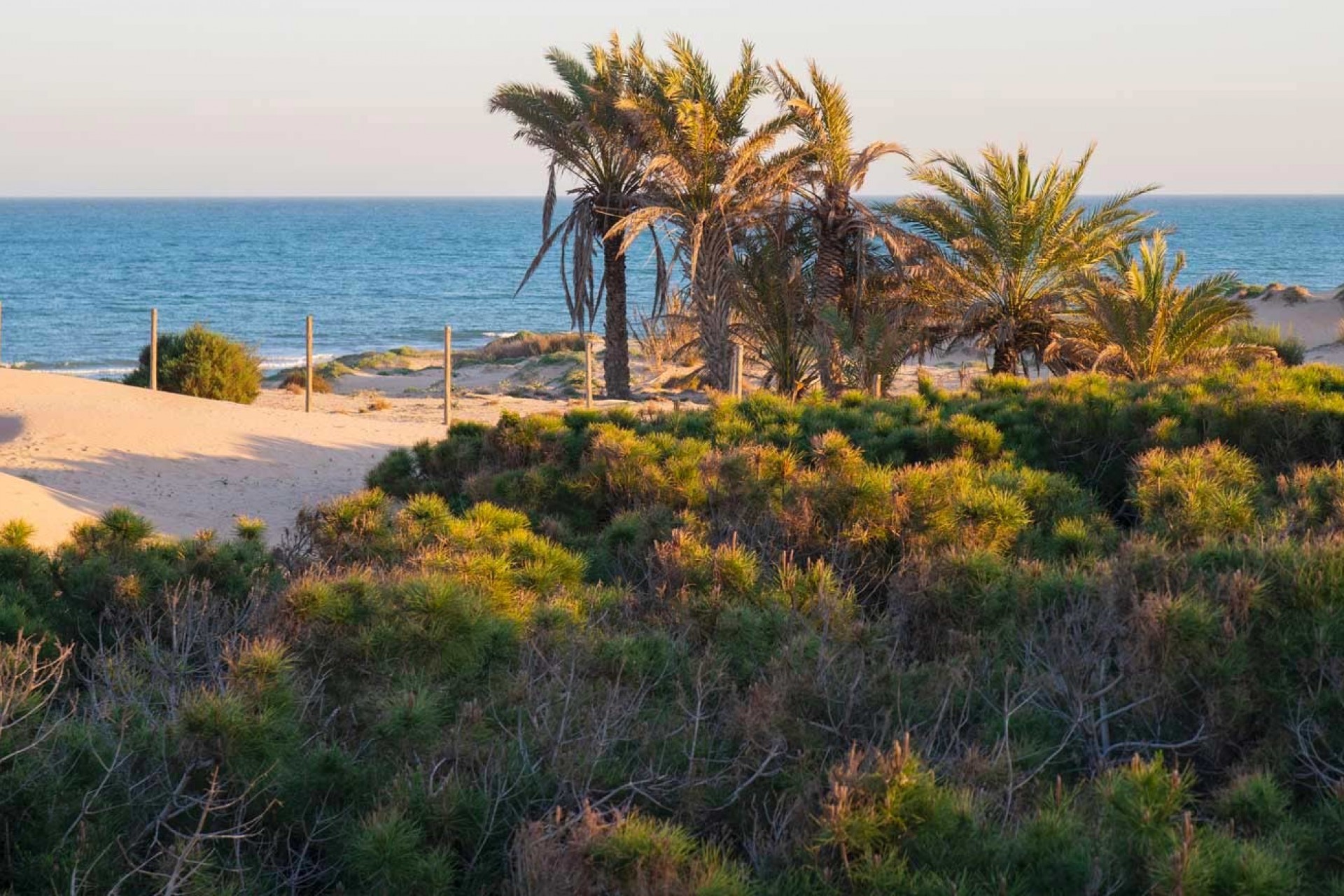 Återförsäljning - Town House -
Guardamar del Segura - Costa Blanca