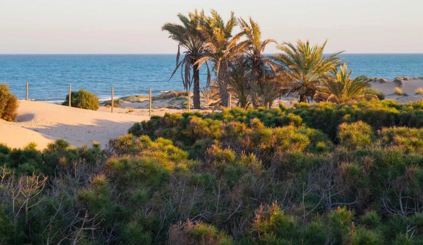 Återförsäljning - Town House -
Guardamar del Segura - Costa Blanca