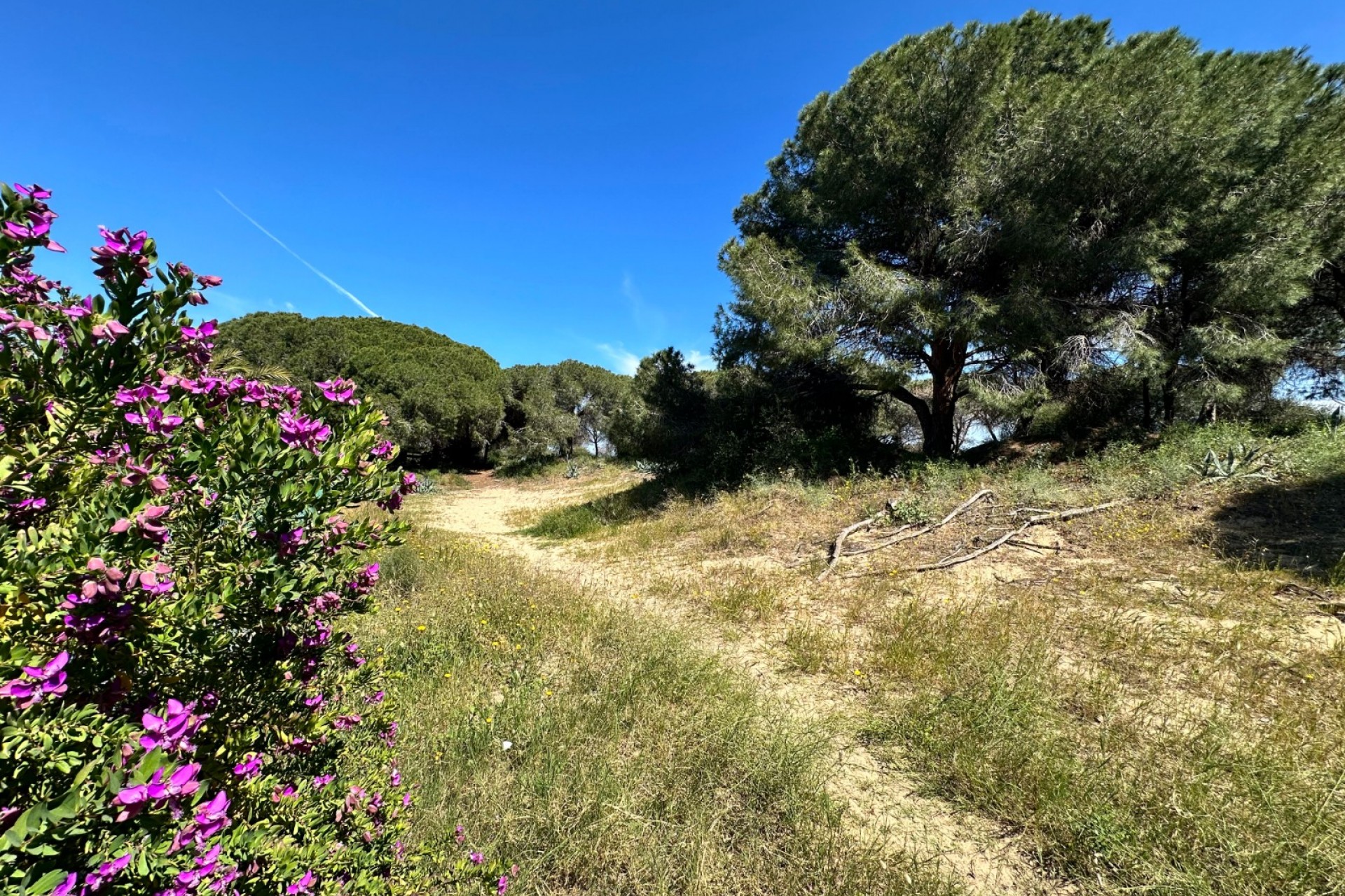 Återförsäljning - Town House -
Guardamar del Segura - Costa Blanca