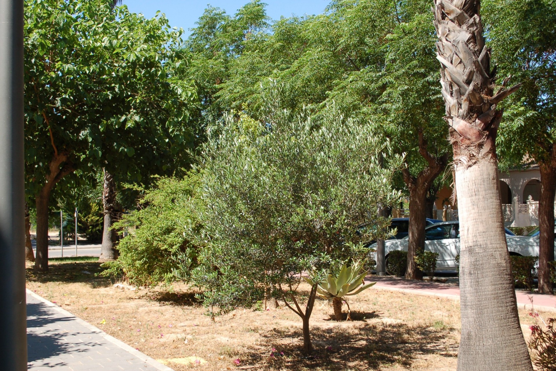 Återförsäljning - Town House -
Mil Palmeras - Costa Blanca