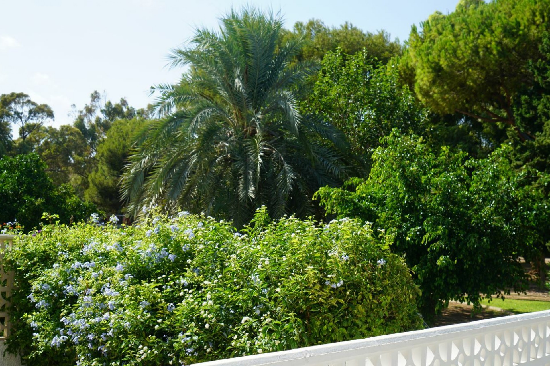 Återförsäljning - Town House -
Orihuela Costa - Costa Blanca