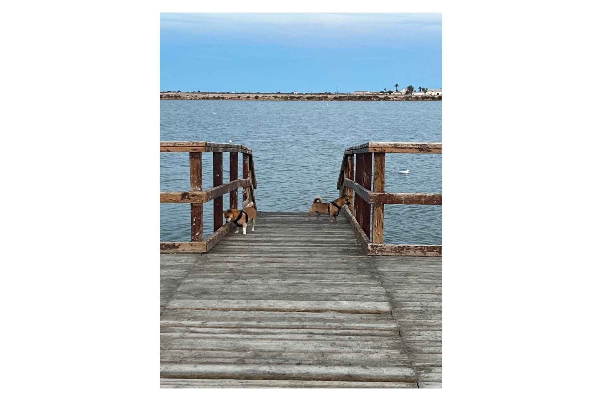 Återförsäljning - Town House -
San Pedro del Pinatar - Costa Calida