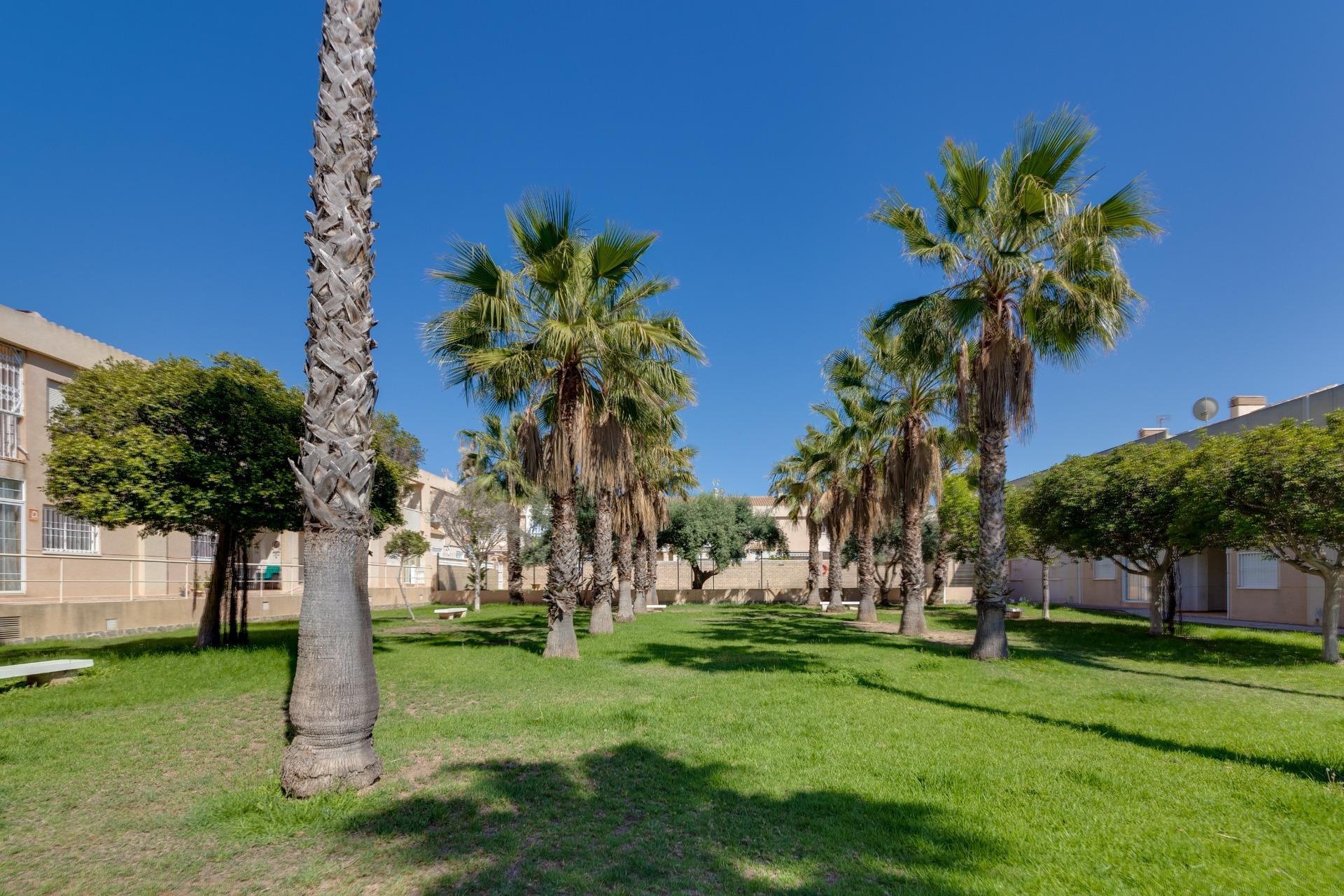 Återförsäljning - Town House -
Torrevieja - Aguas Nuevas 2