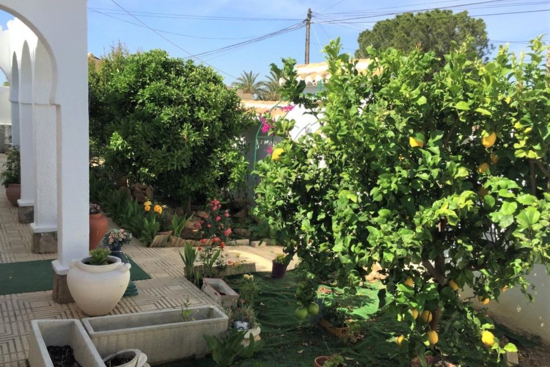 Återförsäljning - Town House -
Torrevieja - Costa Blanca