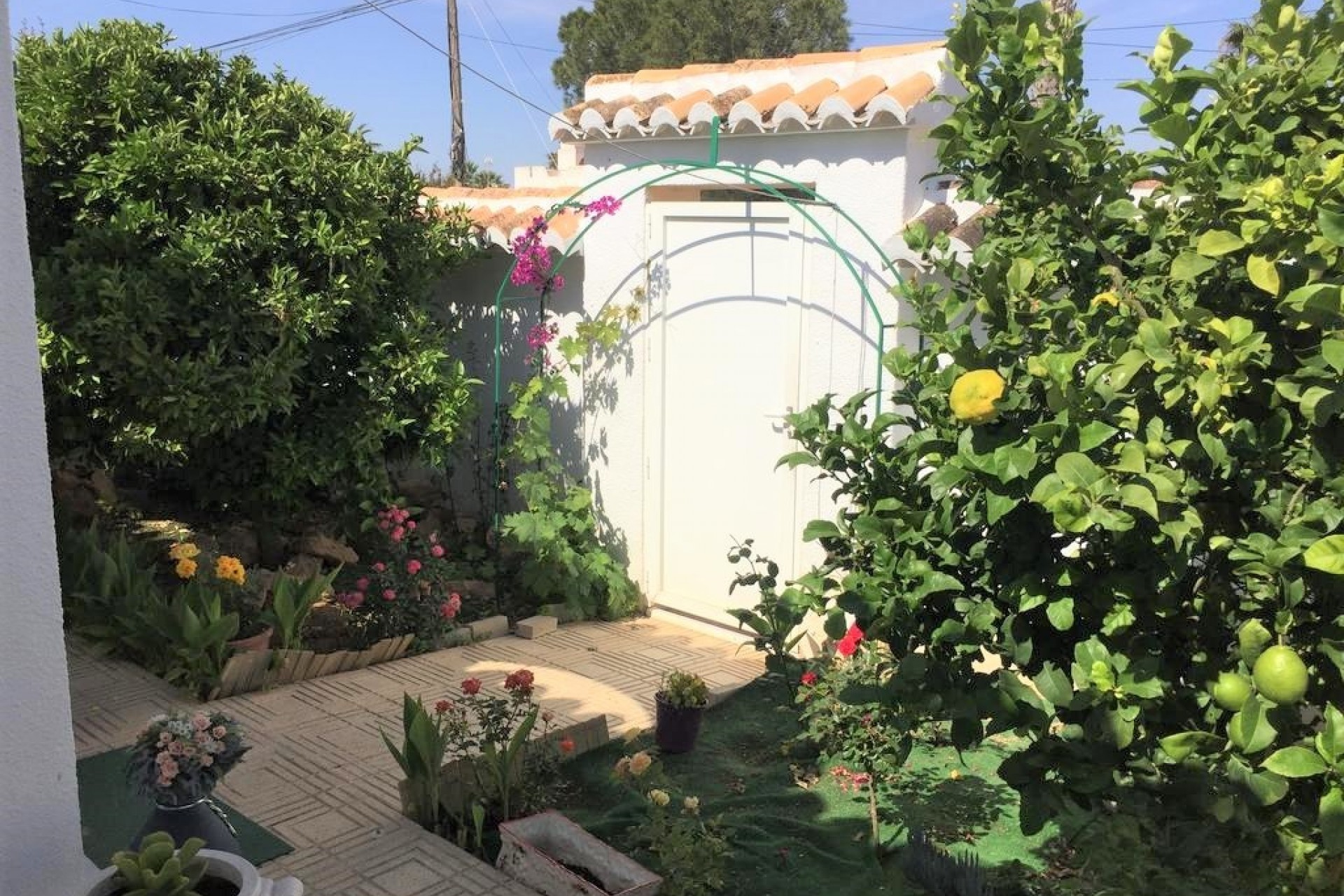 Återförsäljning - Town House -
Torrevieja - Costa Blanca