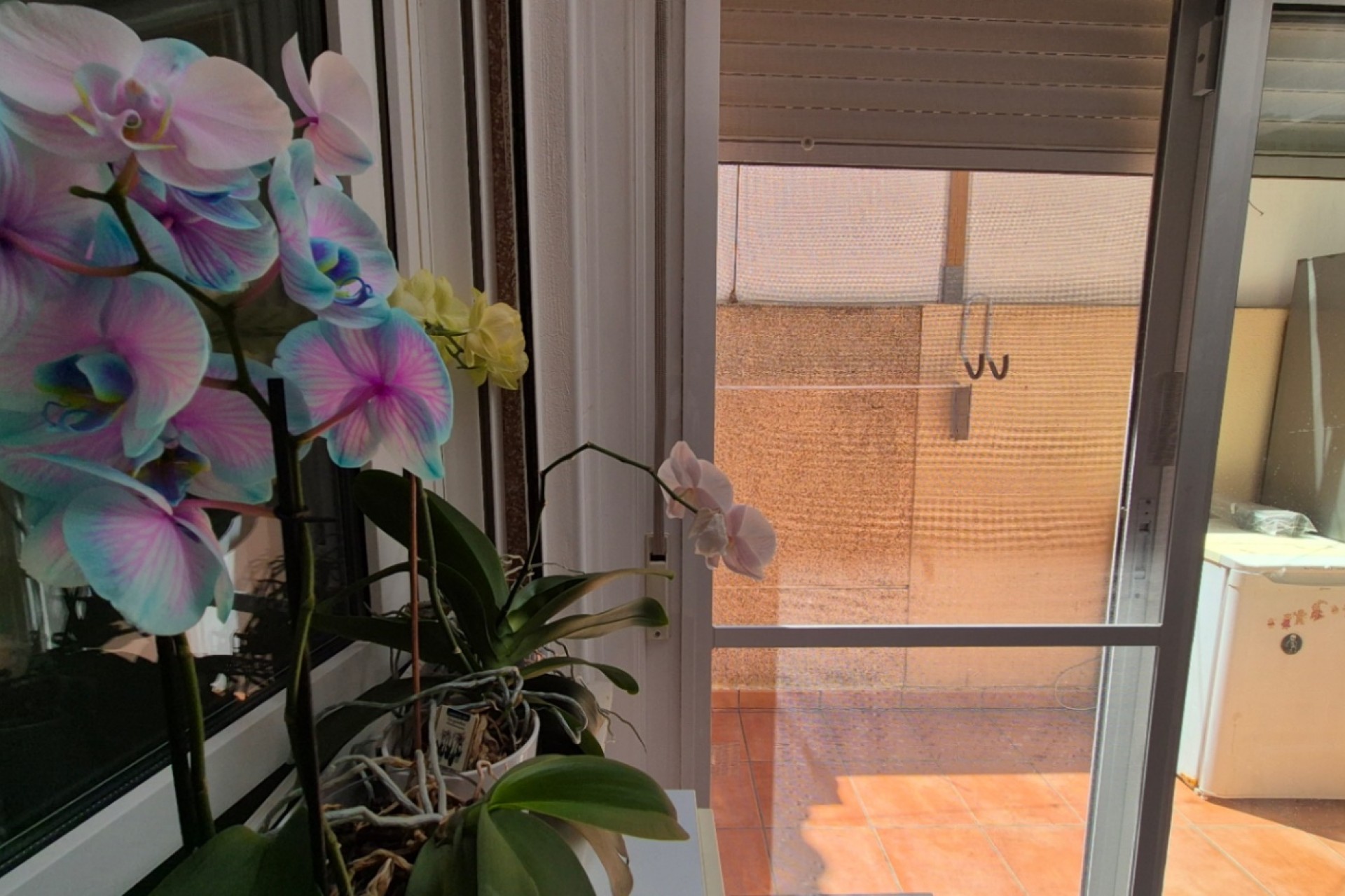 Återförsäljning - Town House -
Torrevieja - Costa Blanca