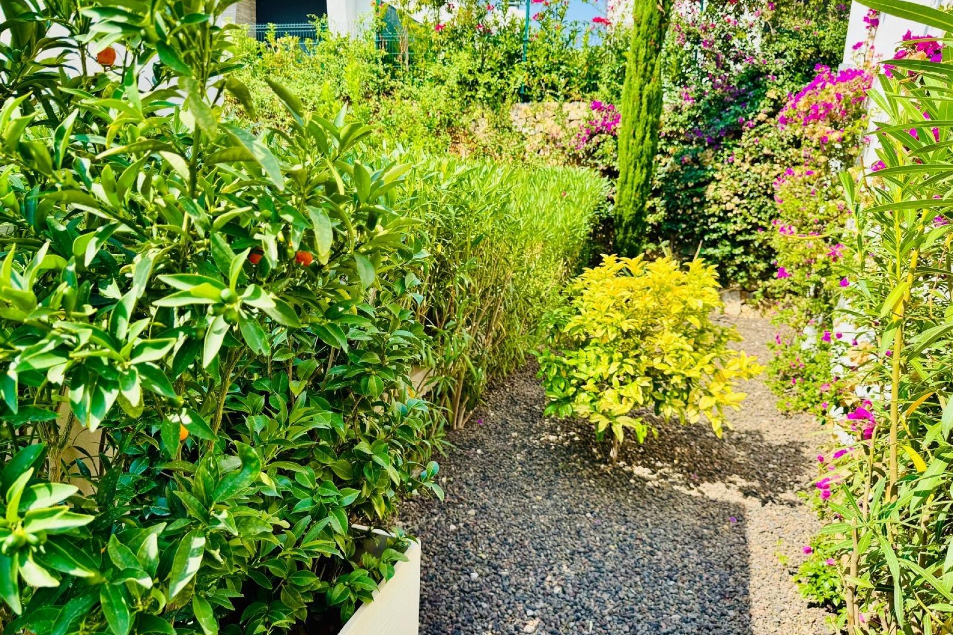 Återförsäljning - Villa -
Algorfa - Club De Golf La Finca