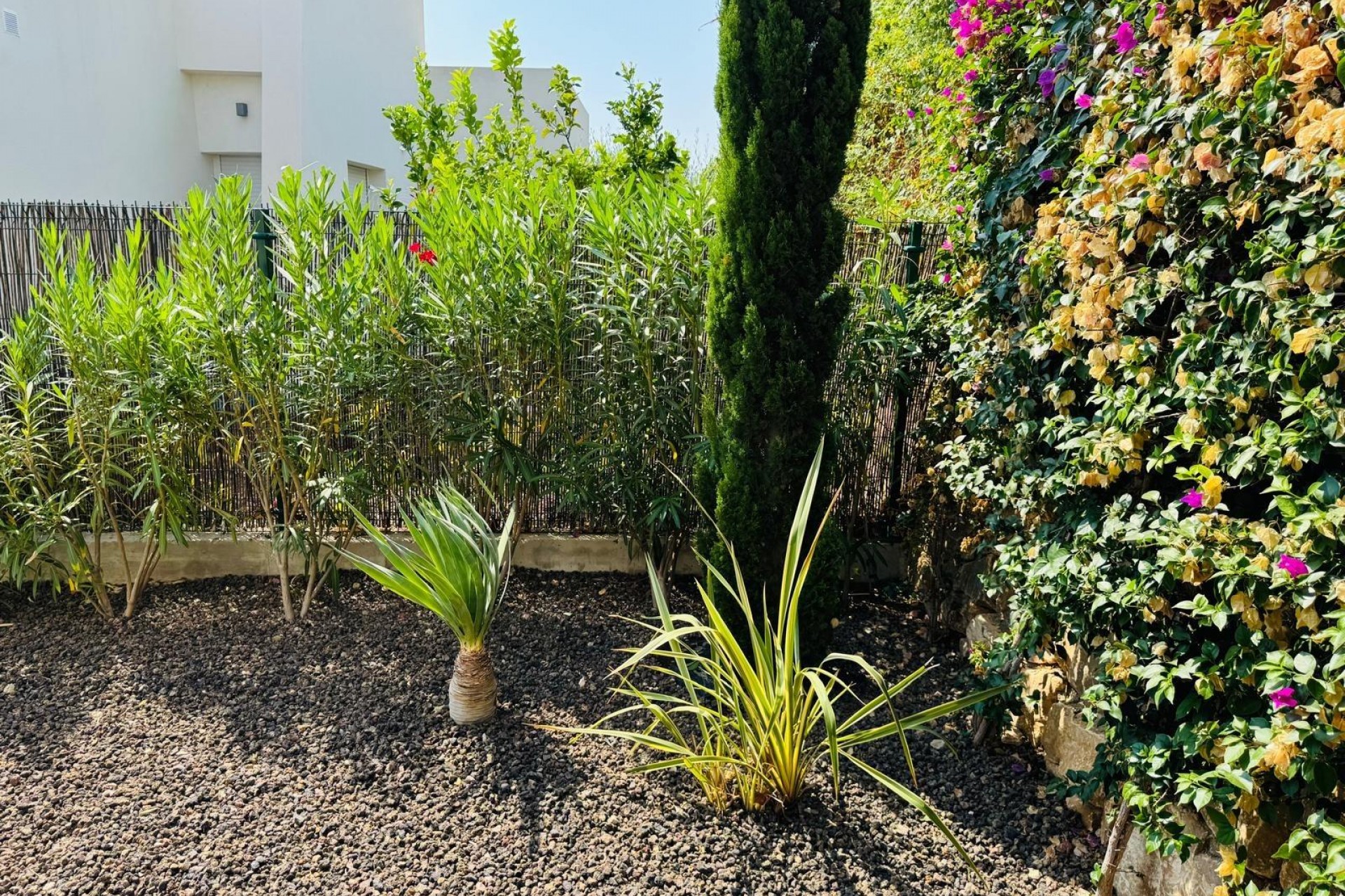 Återförsäljning - Villa -
Algorfa - Club De Golf La Finca