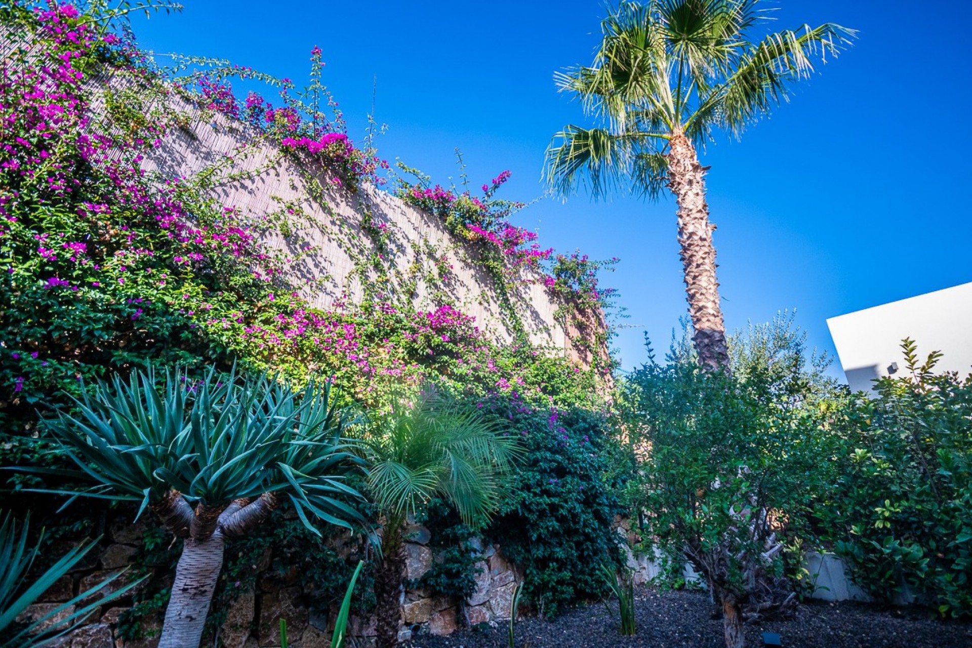 Återförsäljning - Villa -
Algorfa - Inland