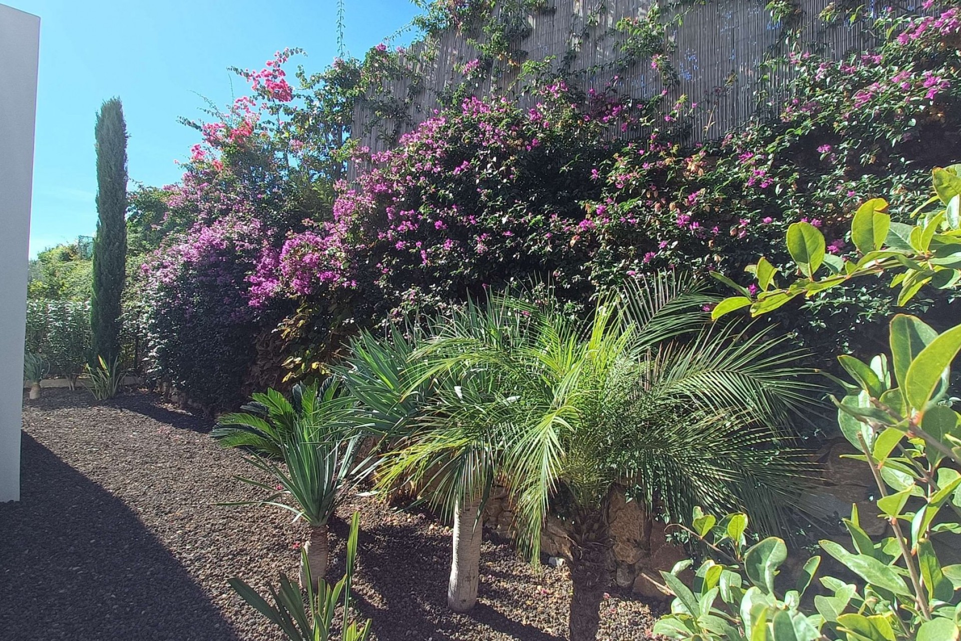 Återförsäljning - Villa -
Algorfa - Inland