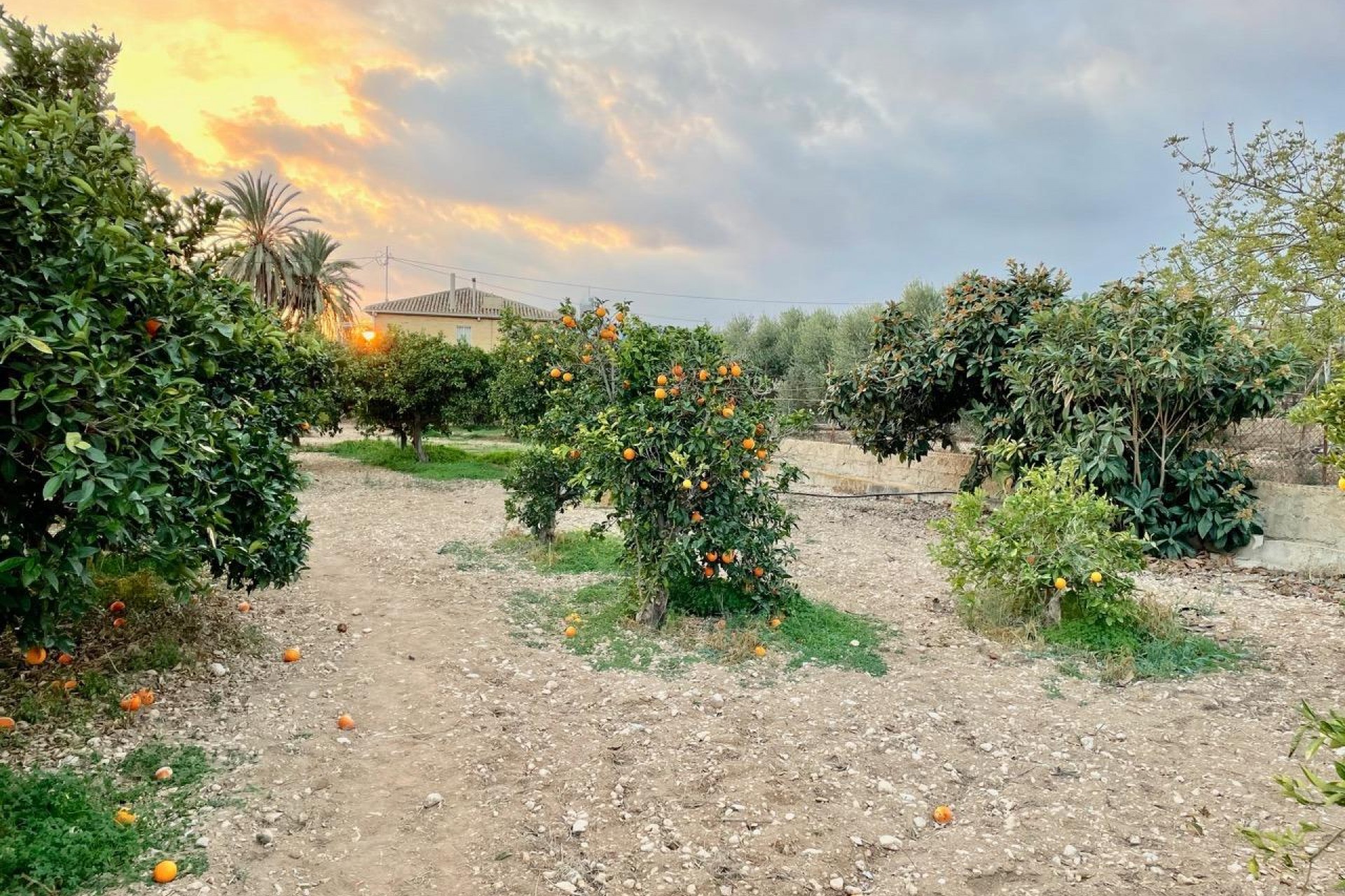 Återförsäljning - Villa -
Benidorm - Salto Del Agua