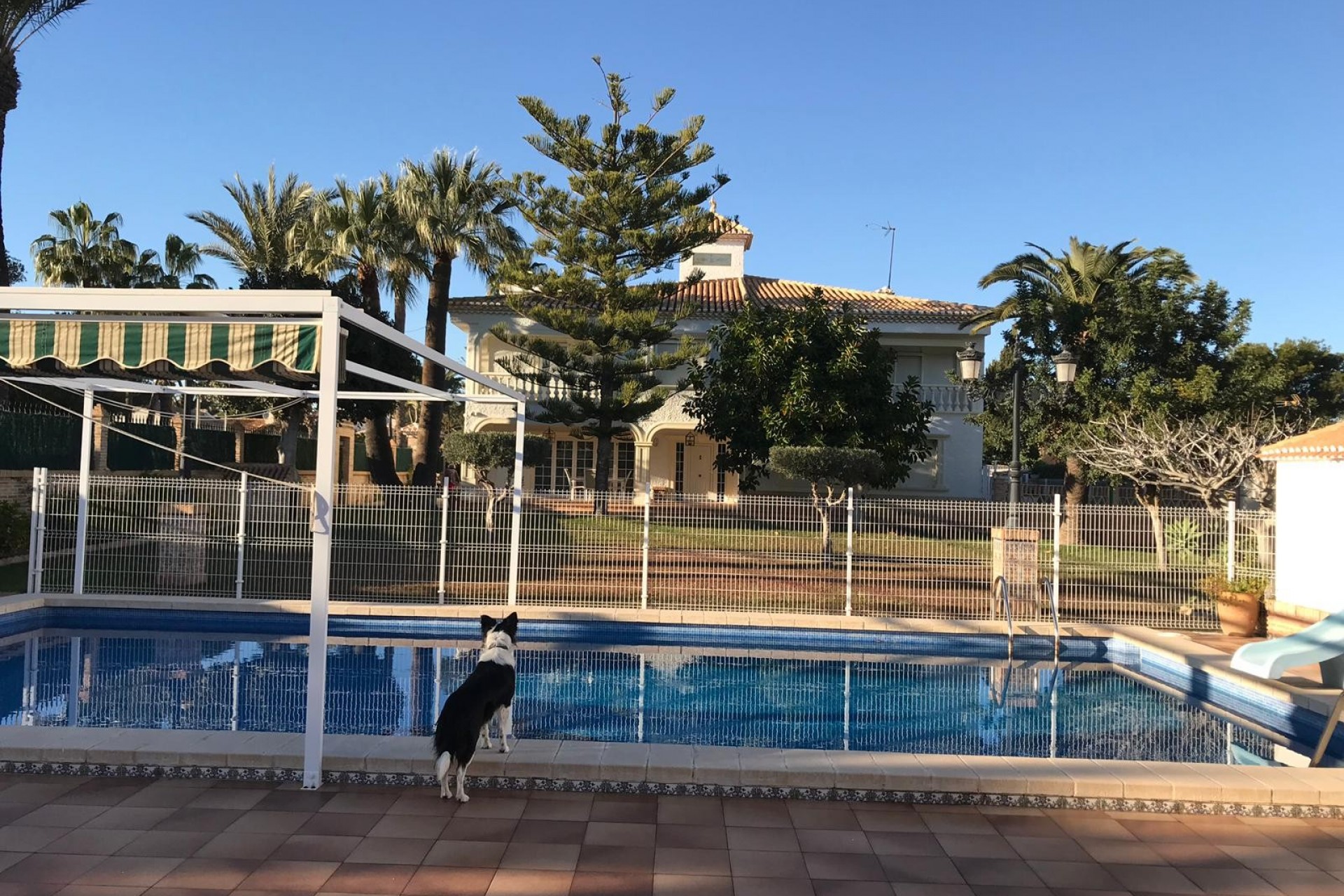 Återförsäljning - Villa -
Cabo Roig - Costa Blanca