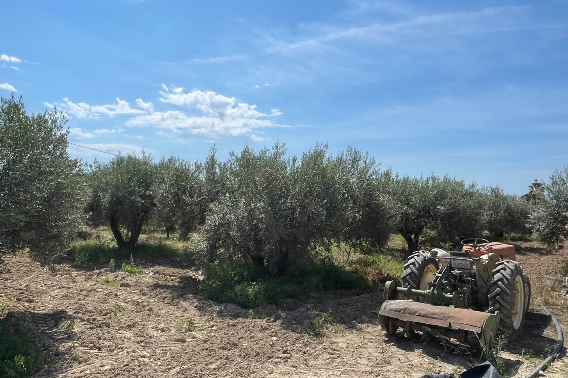 Återförsäljning - Villa -
Crevillent - Inland