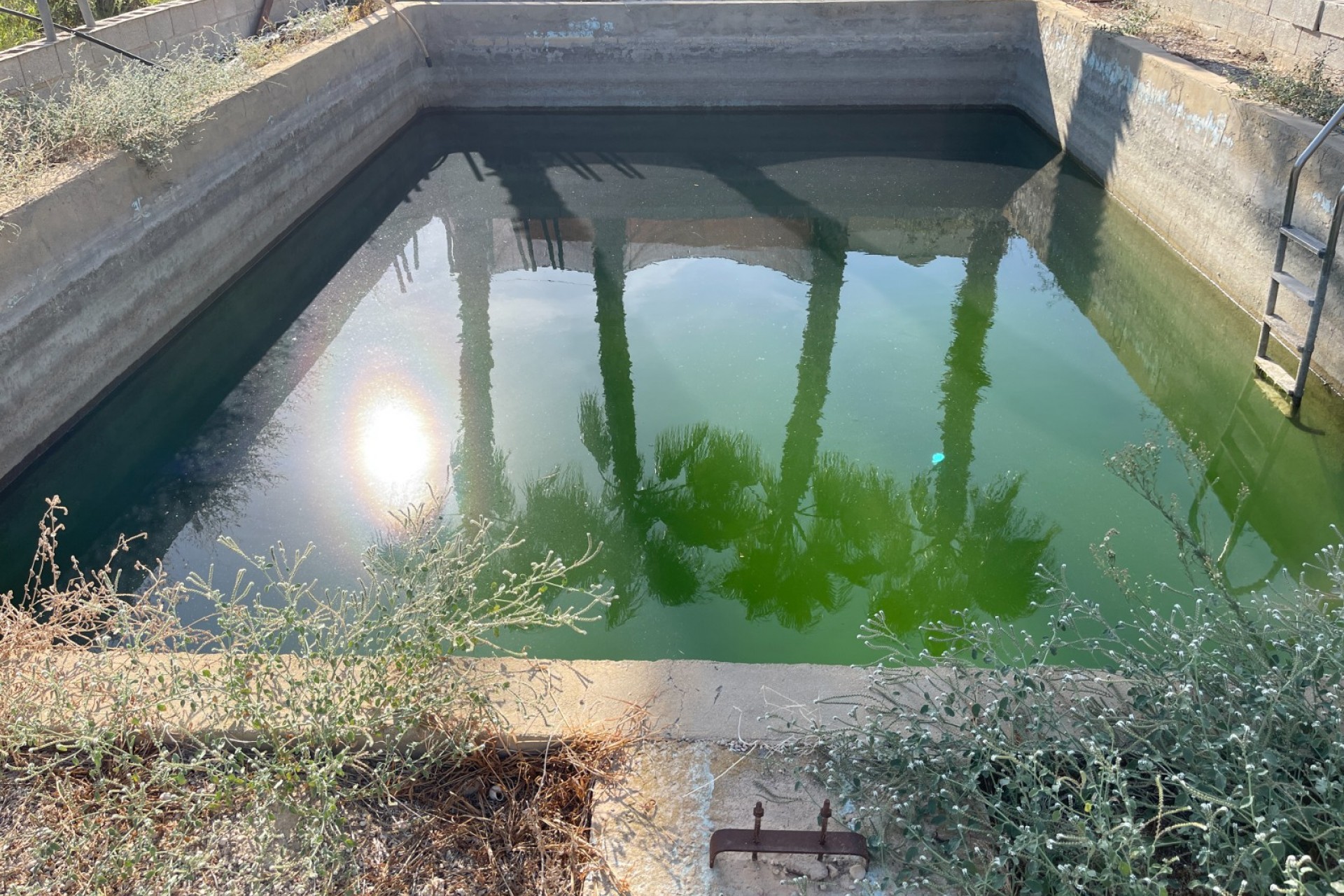 Återförsäljning - Villa -
Crevillent - Inland