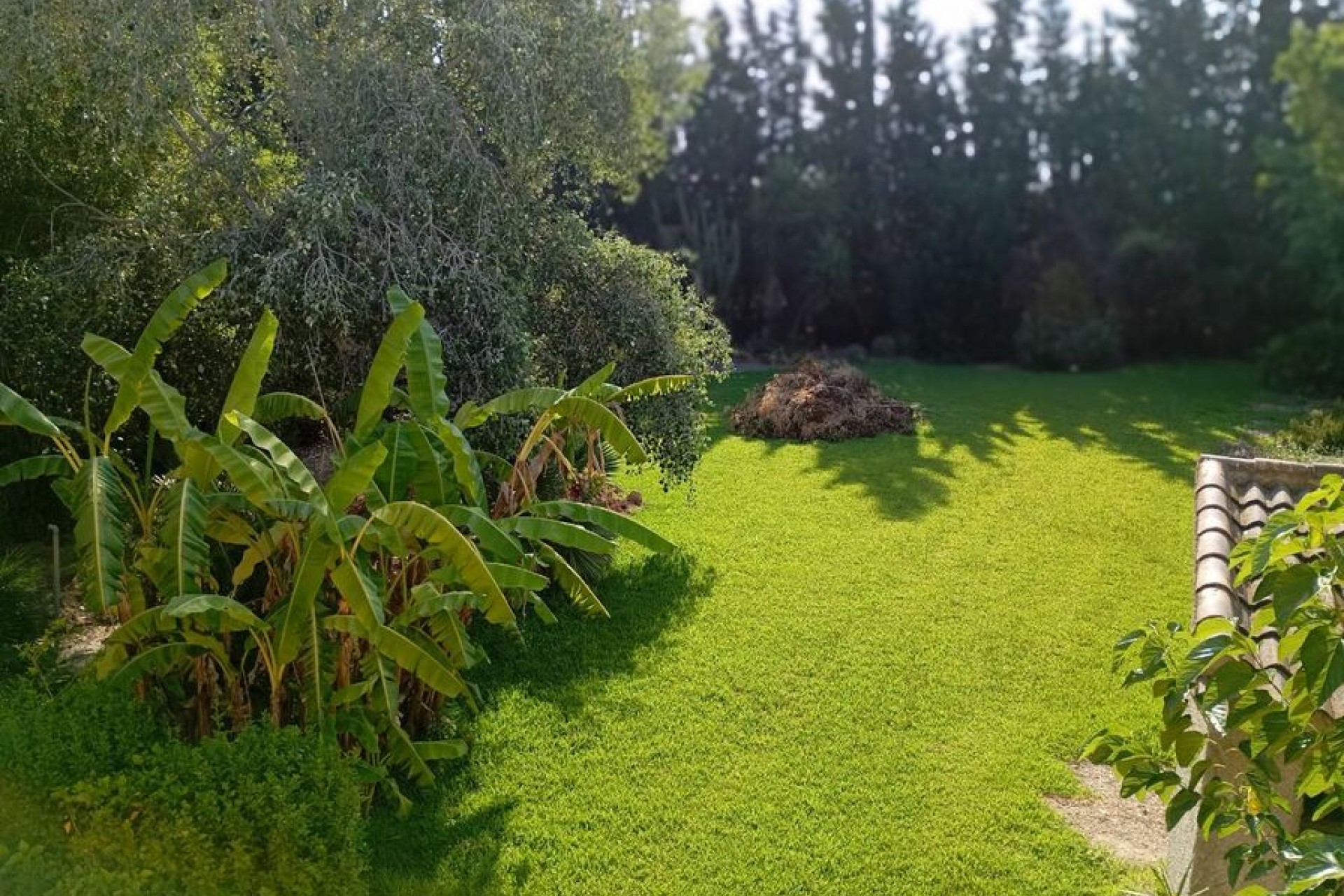 Återförsäljning - Villa -
Daya Nueva - Costa Blanca