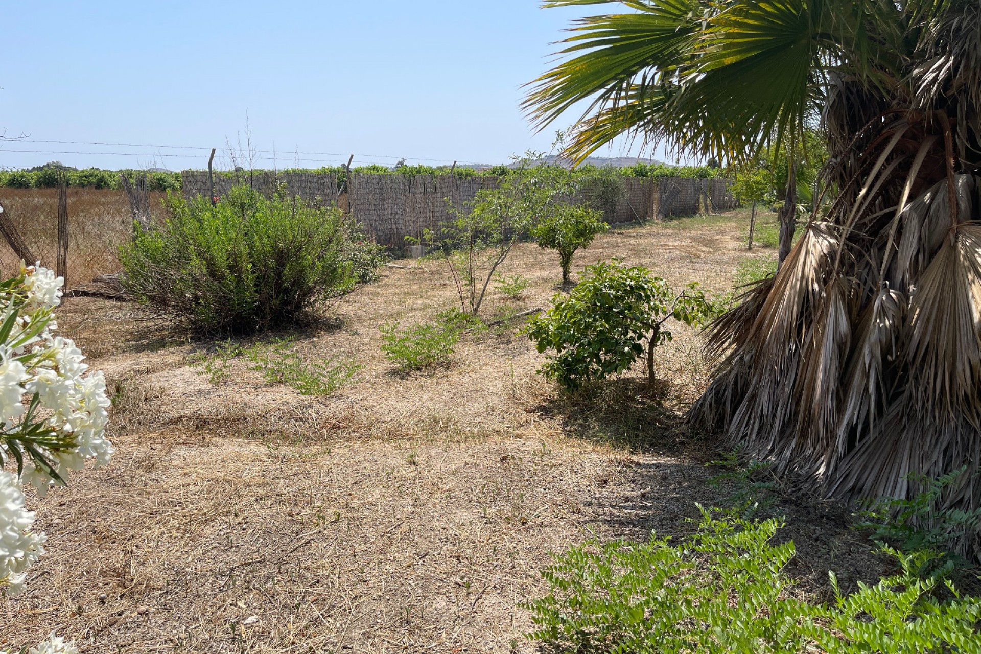 Återförsäljning - Villa -
Daya Nueva - Costa Blanca