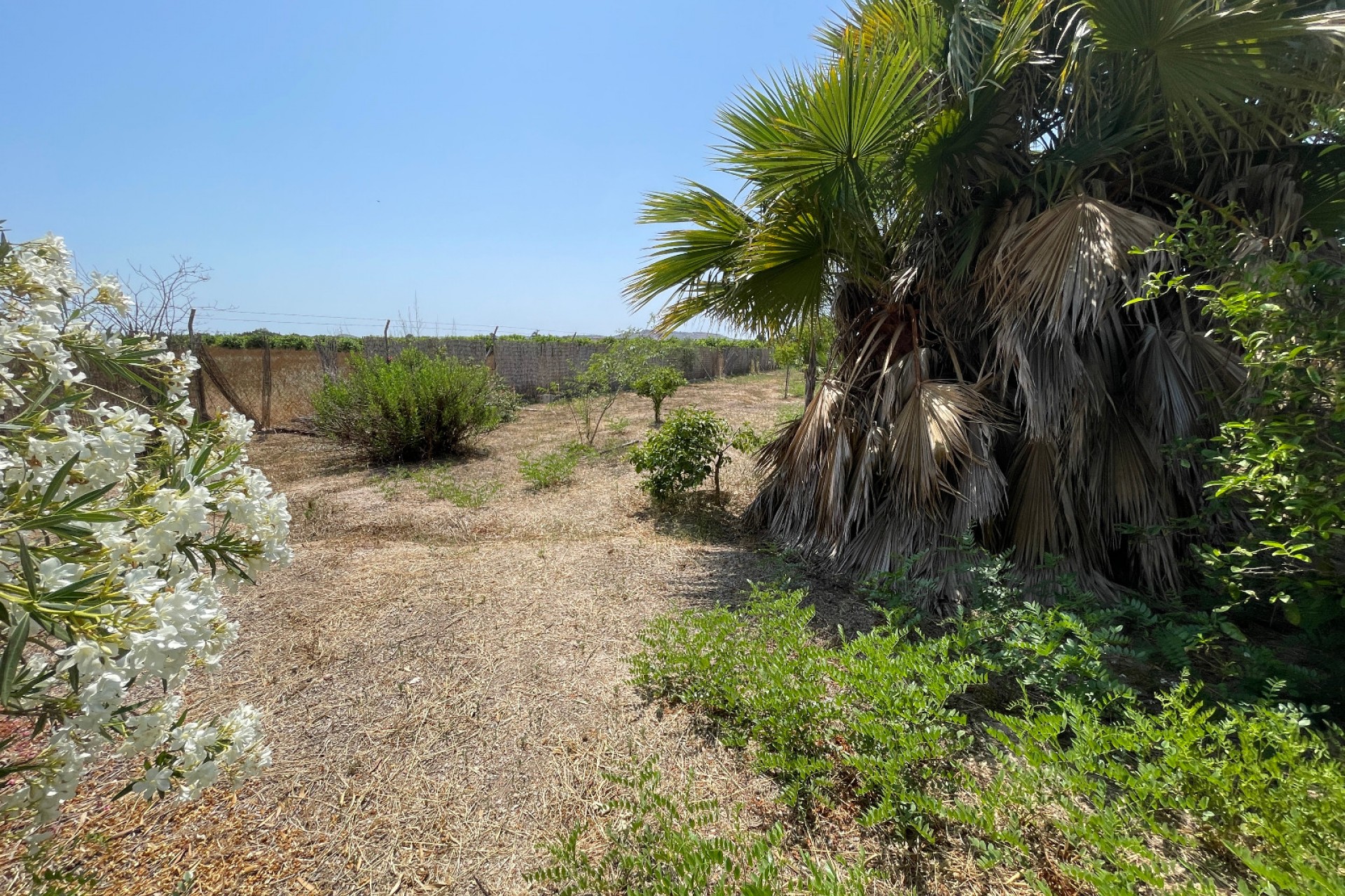 Återförsäljning - Villa -
Daya Nueva - Costa Blanca