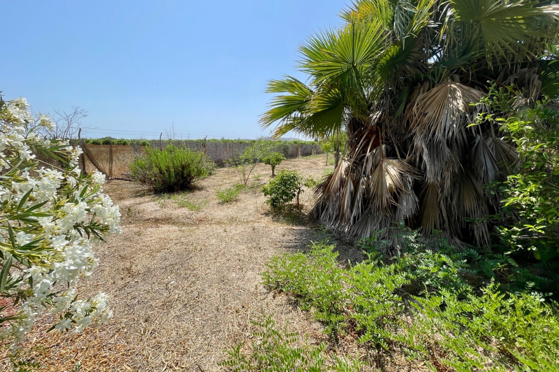 Återförsäljning - Villa -
Daya Nueva - Costa Blanca