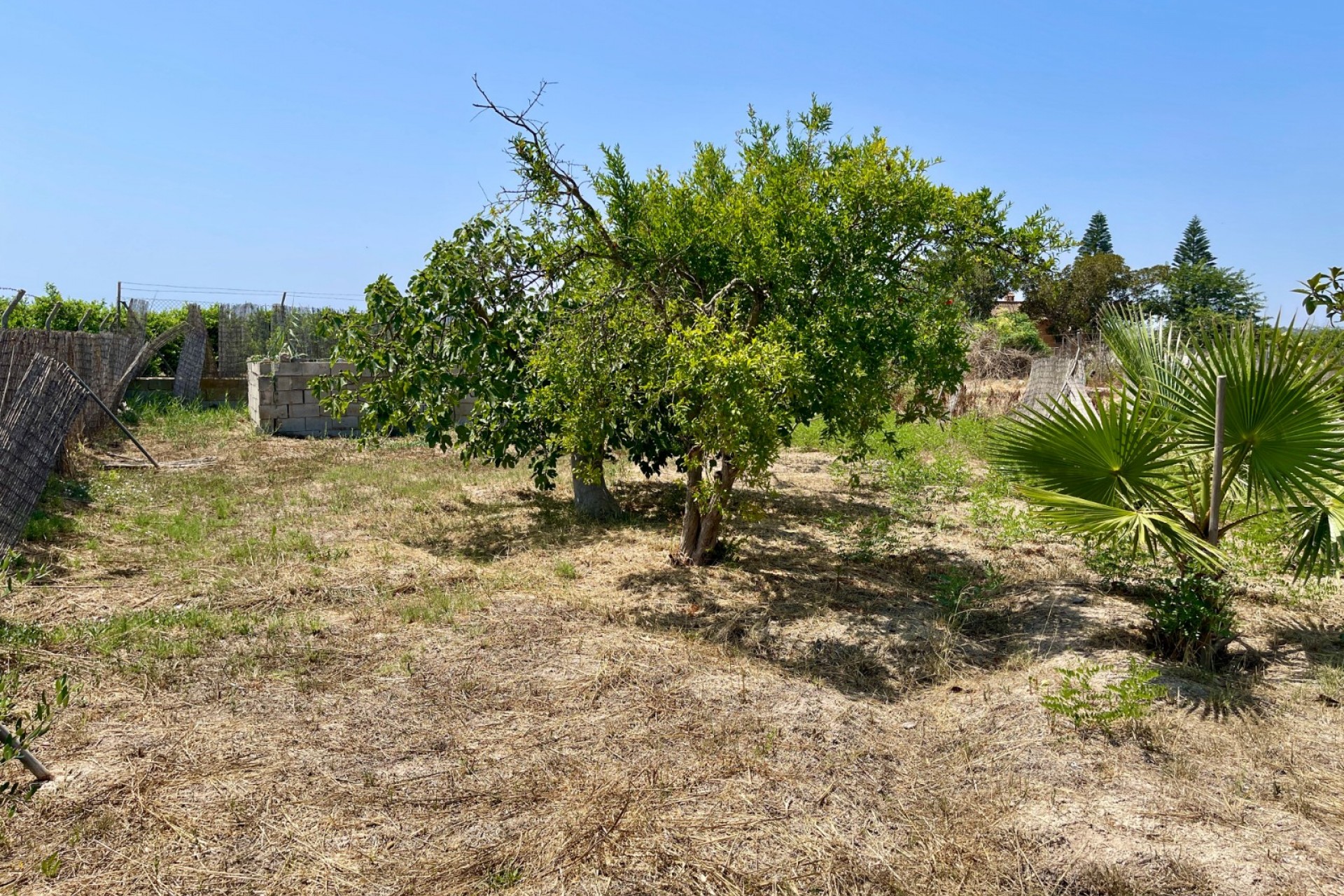 Återförsäljning - Villa -
Daya Nueva - Costa Blanca
