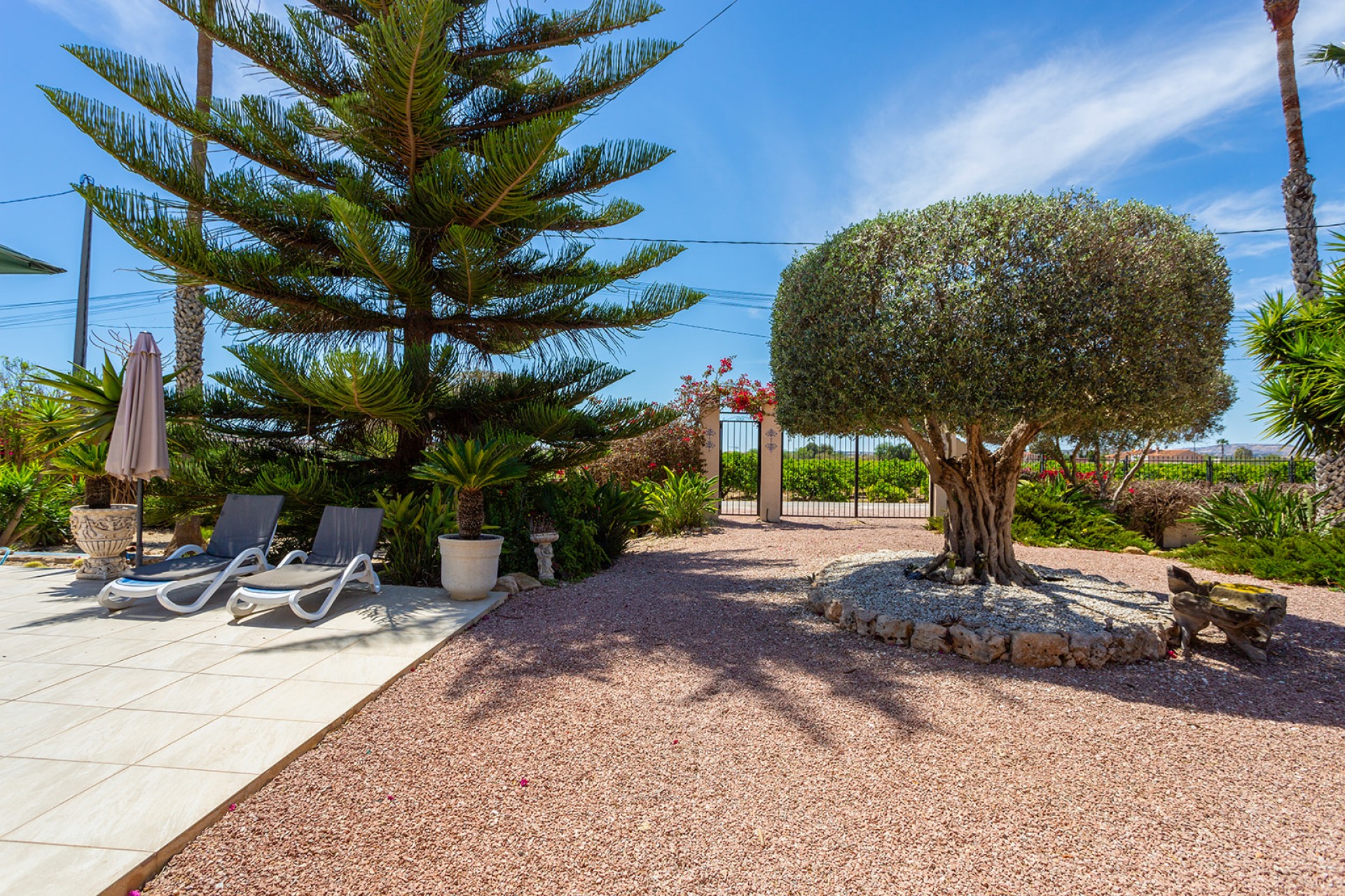 Återförsäljning - Villa -
Daya Vieja - Costa Blanca