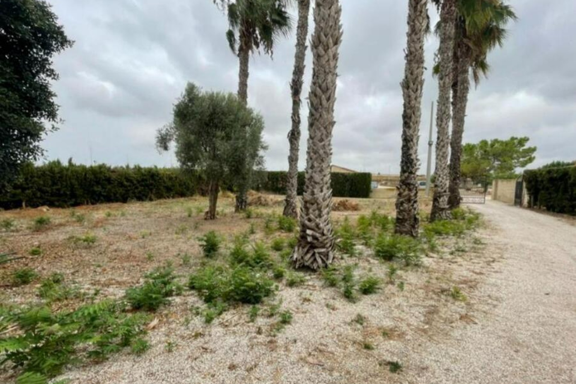 Återförsäljning - Villa -
Daya Vieja - Costa Blanca