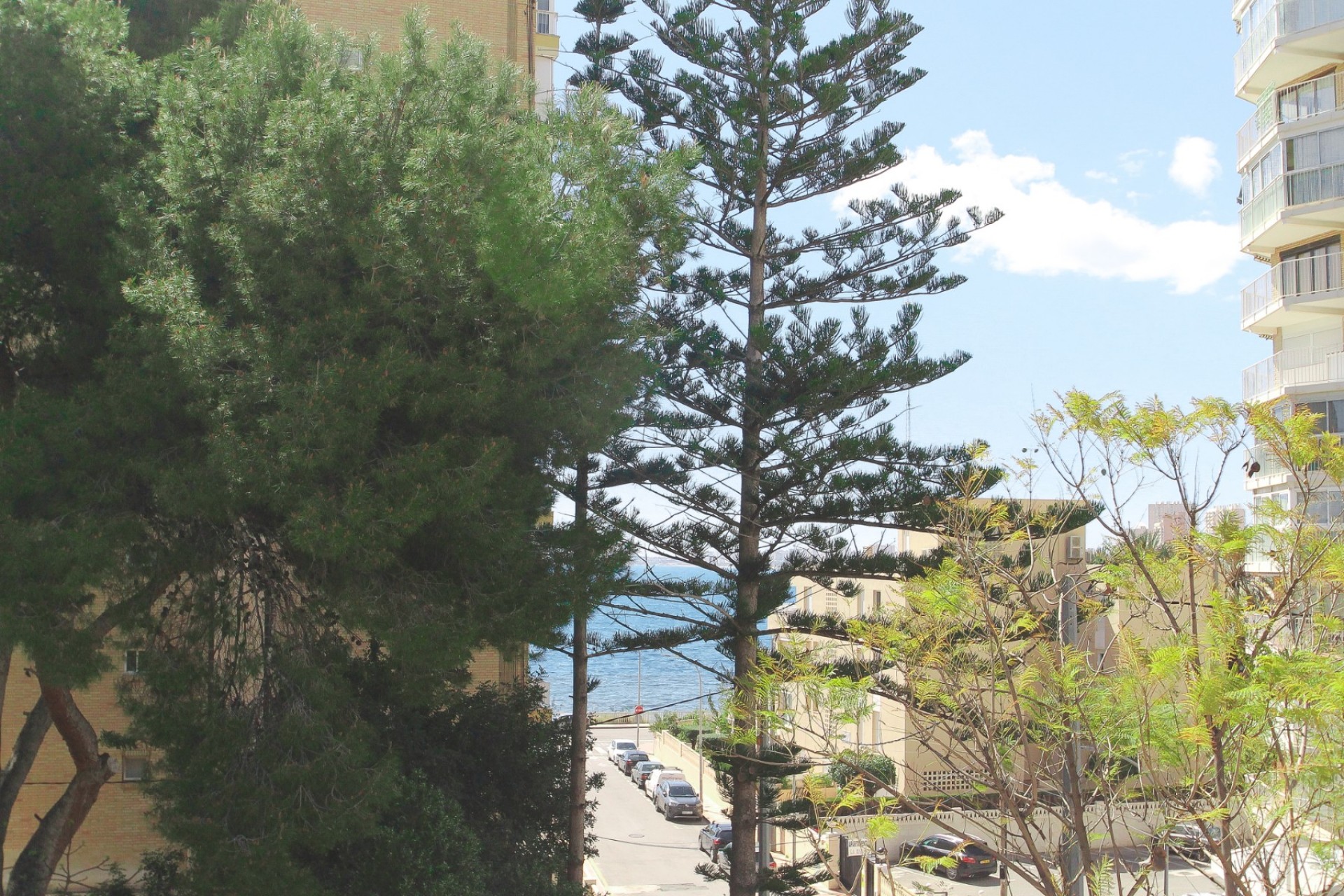 Återförsäljning - Villa -
El Campello - Costa Blanca