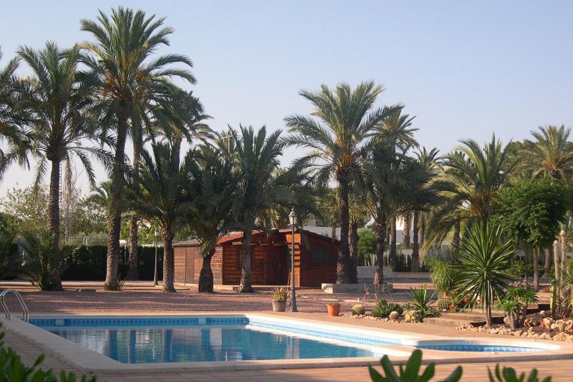 Återförsäljning - Villa -
Elche - Costa Blanca