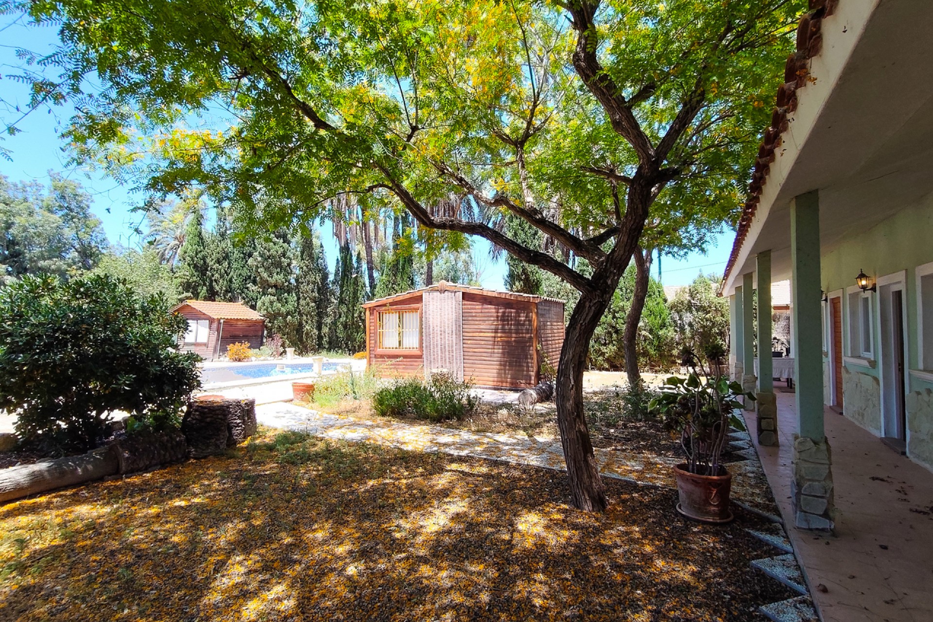 Återförsäljning - Villa -
Elche - Costa Blanca