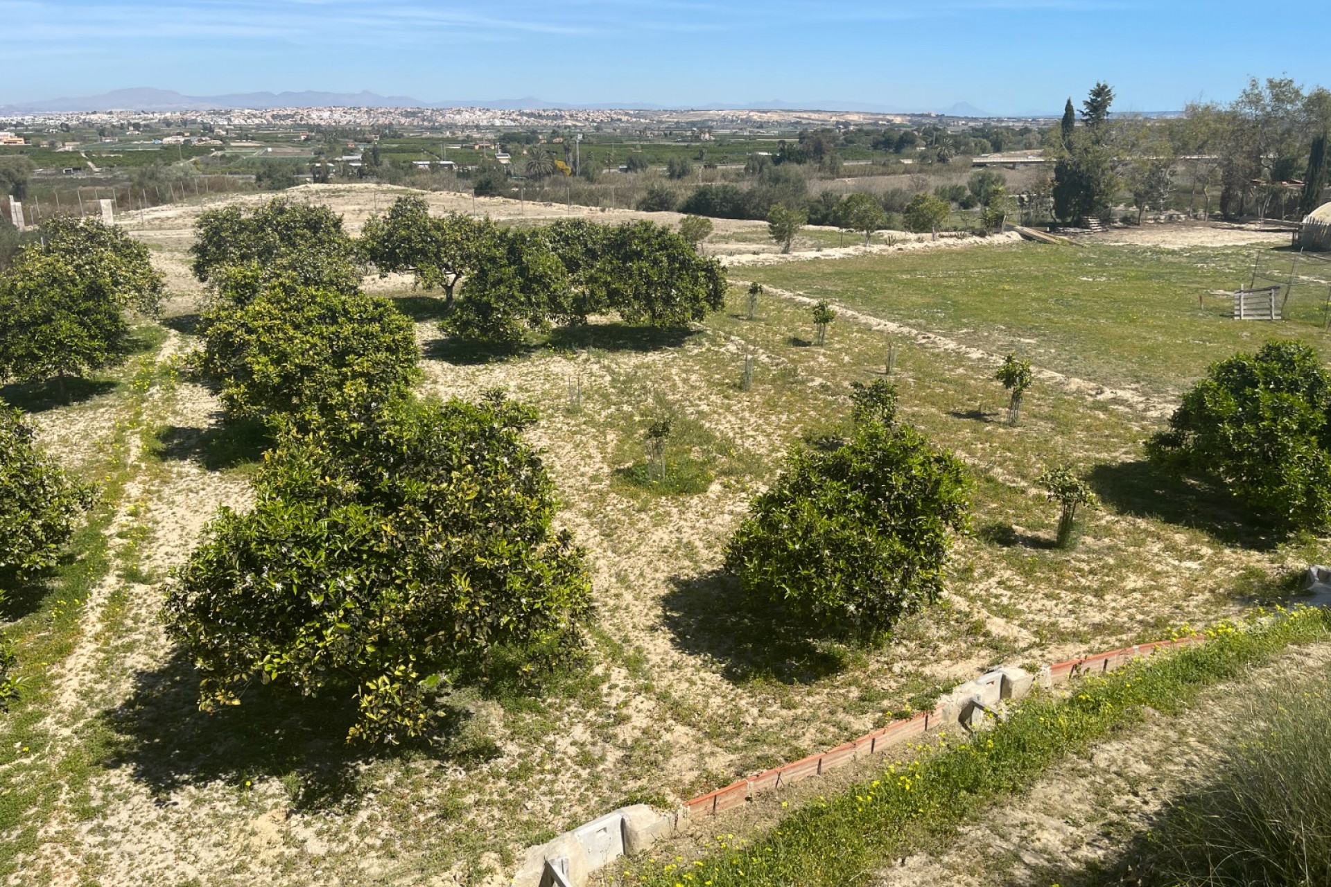 Återförsäljning - Villa -
Guardamar del Segura - Costa Blanca