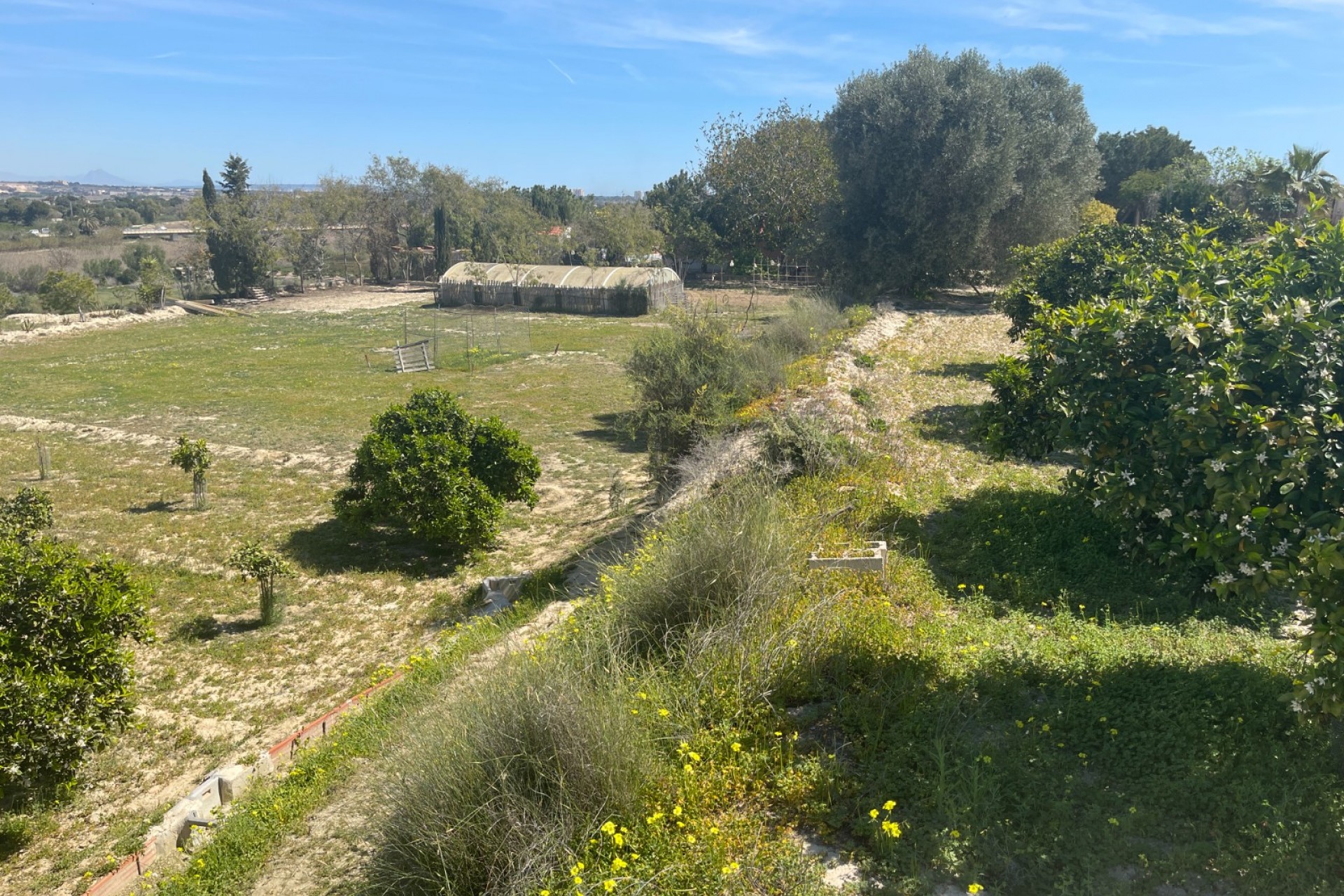 Återförsäljning - Villa -
Guardamar del Segura - Costa Blanca