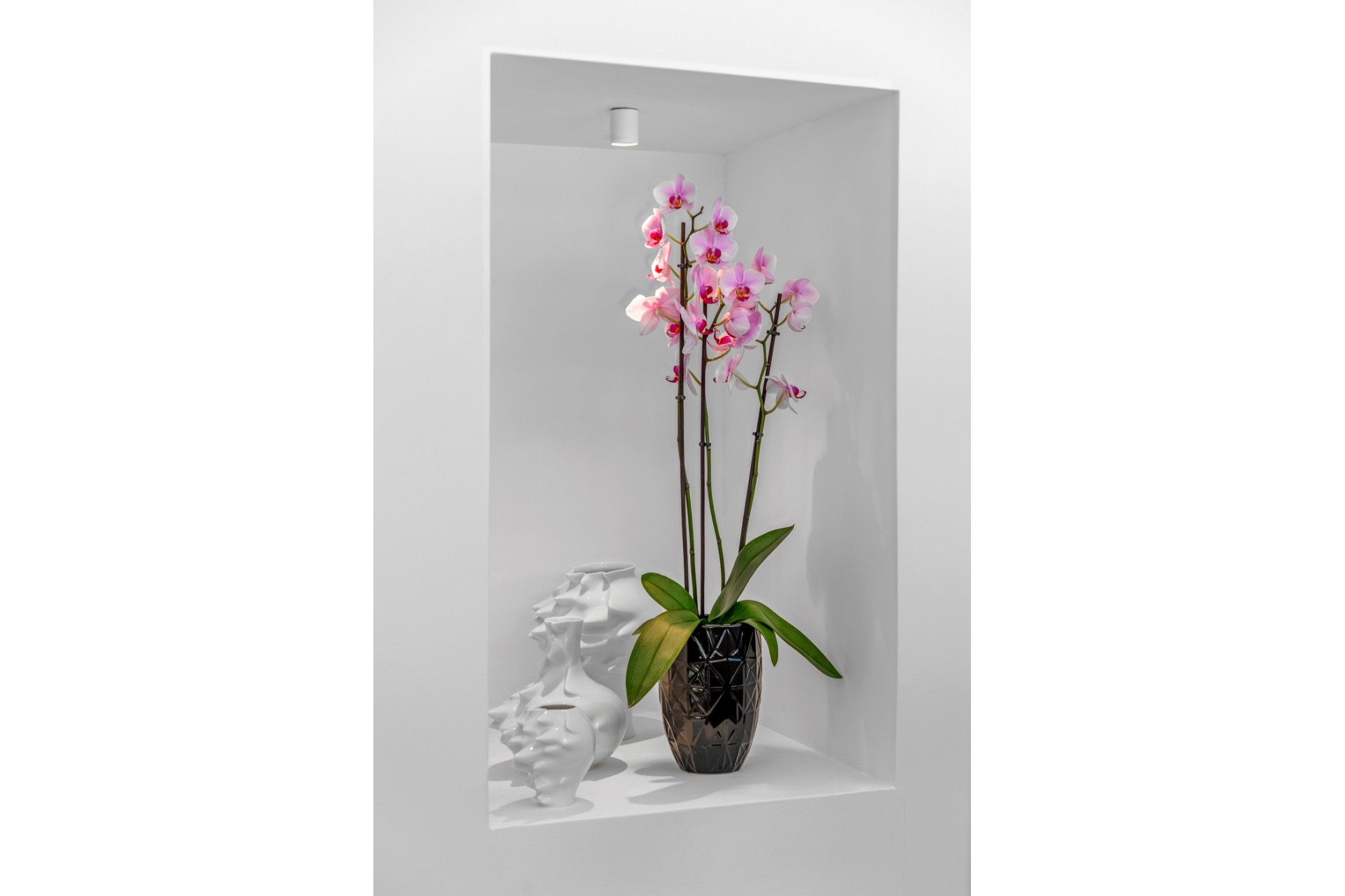 Återförsäljning - Villa -
Guardamar del Segura - Costa Blanca