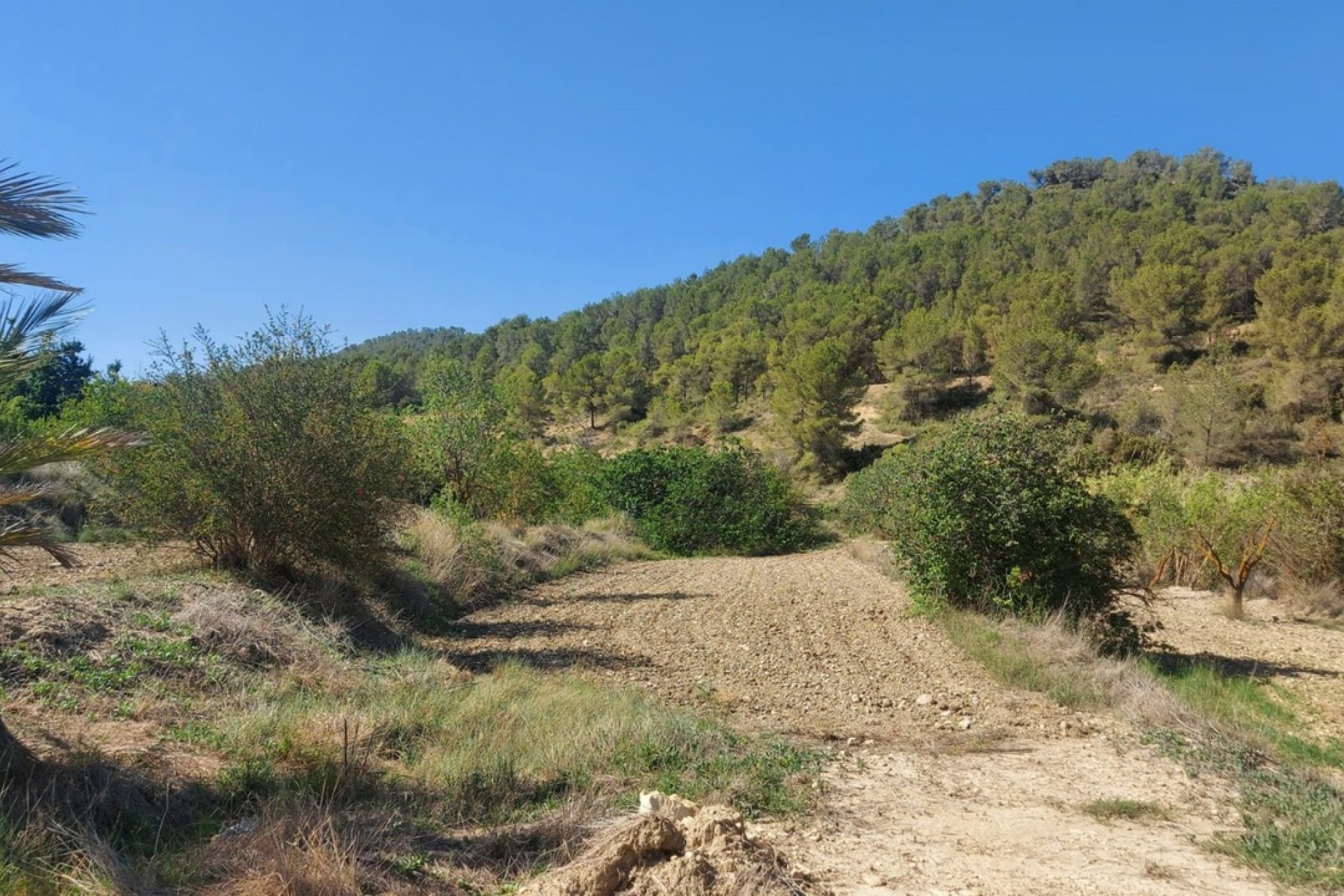 Återförsäljning - Villa -
Jumilla - Inland