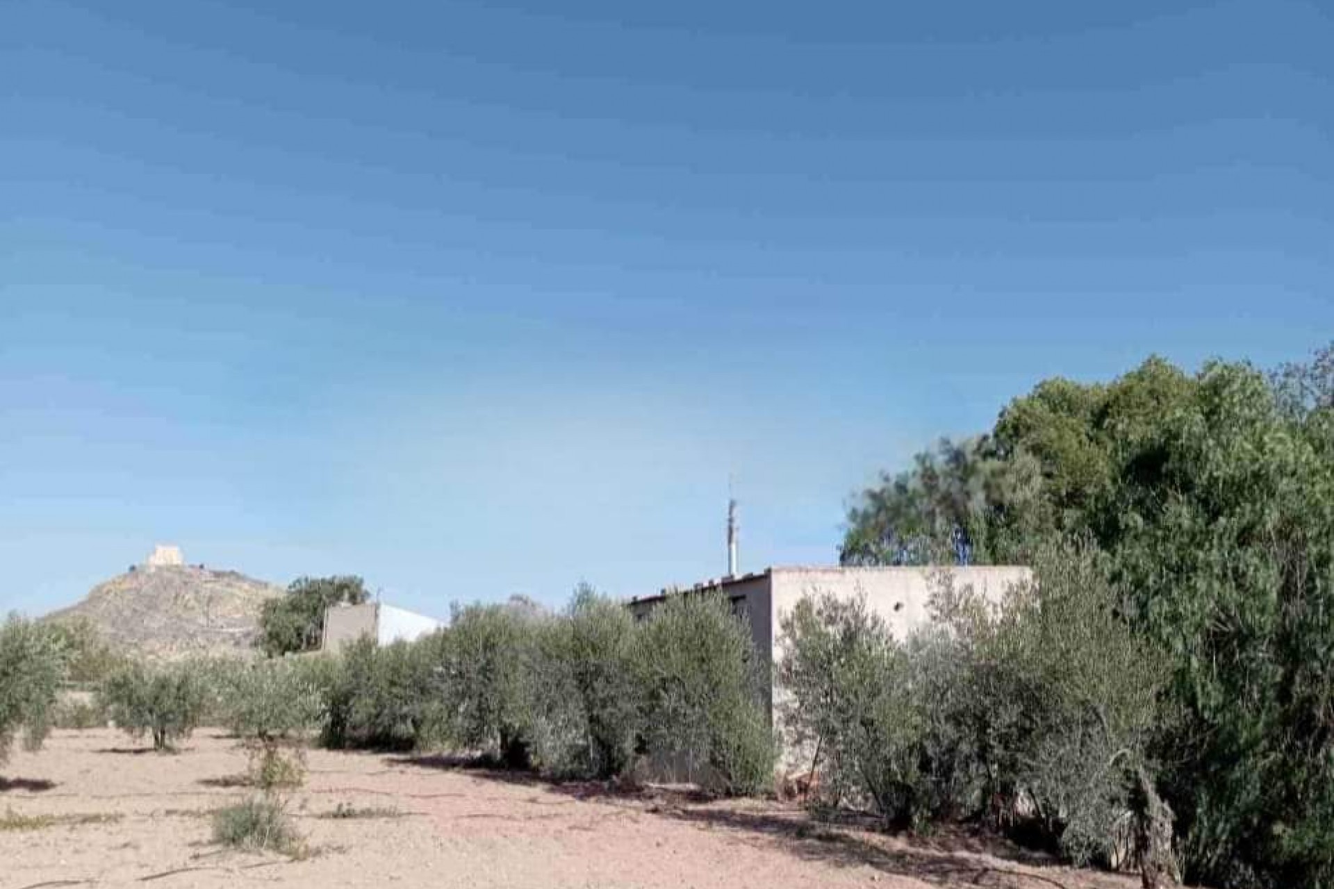 Återförsäljning - Villa -
Jumilla - Inland