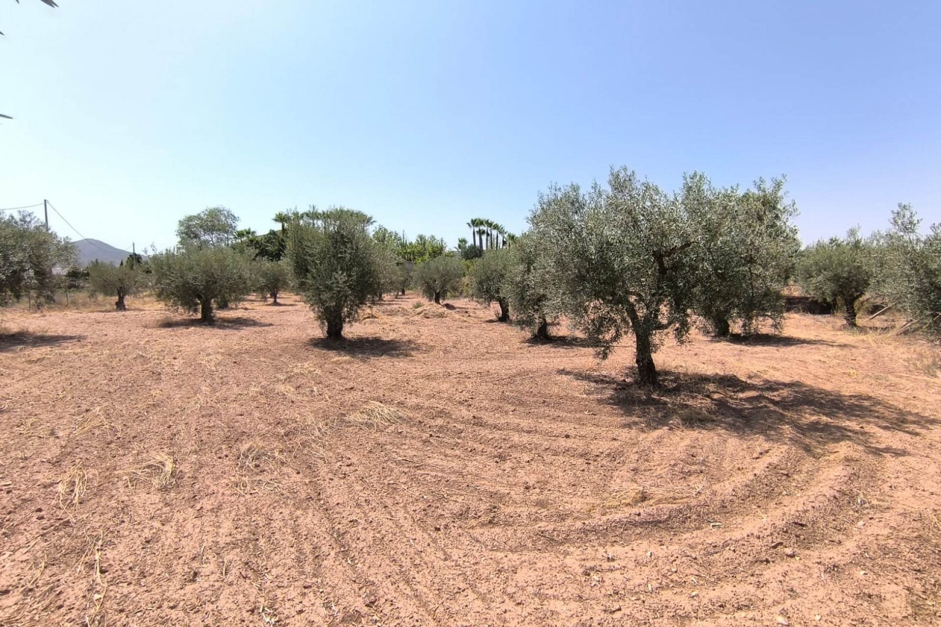 Återförsäljning - Villa -
Jumilla - Inland