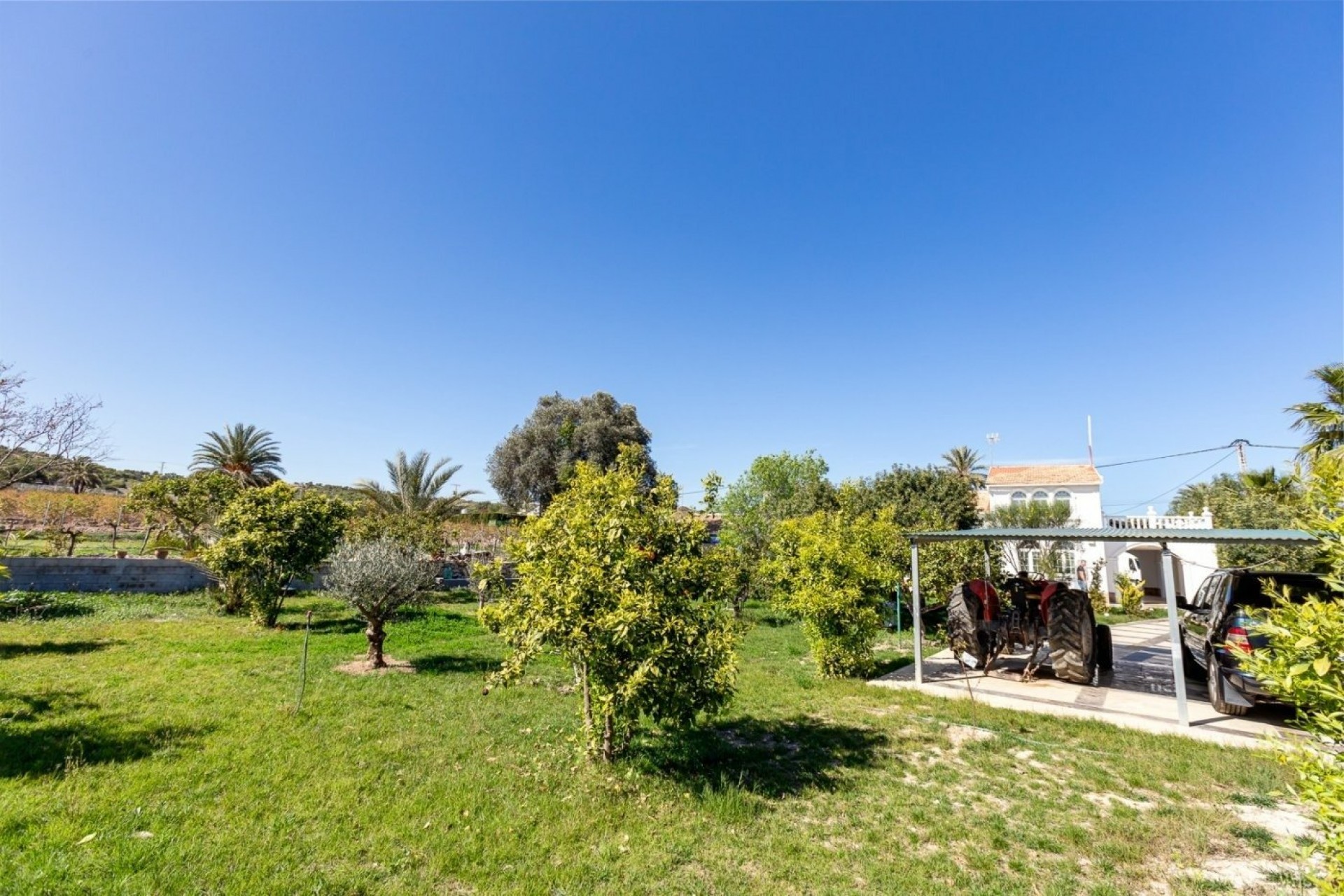 Återförsäljning - Villa -
La Marina - Alicante