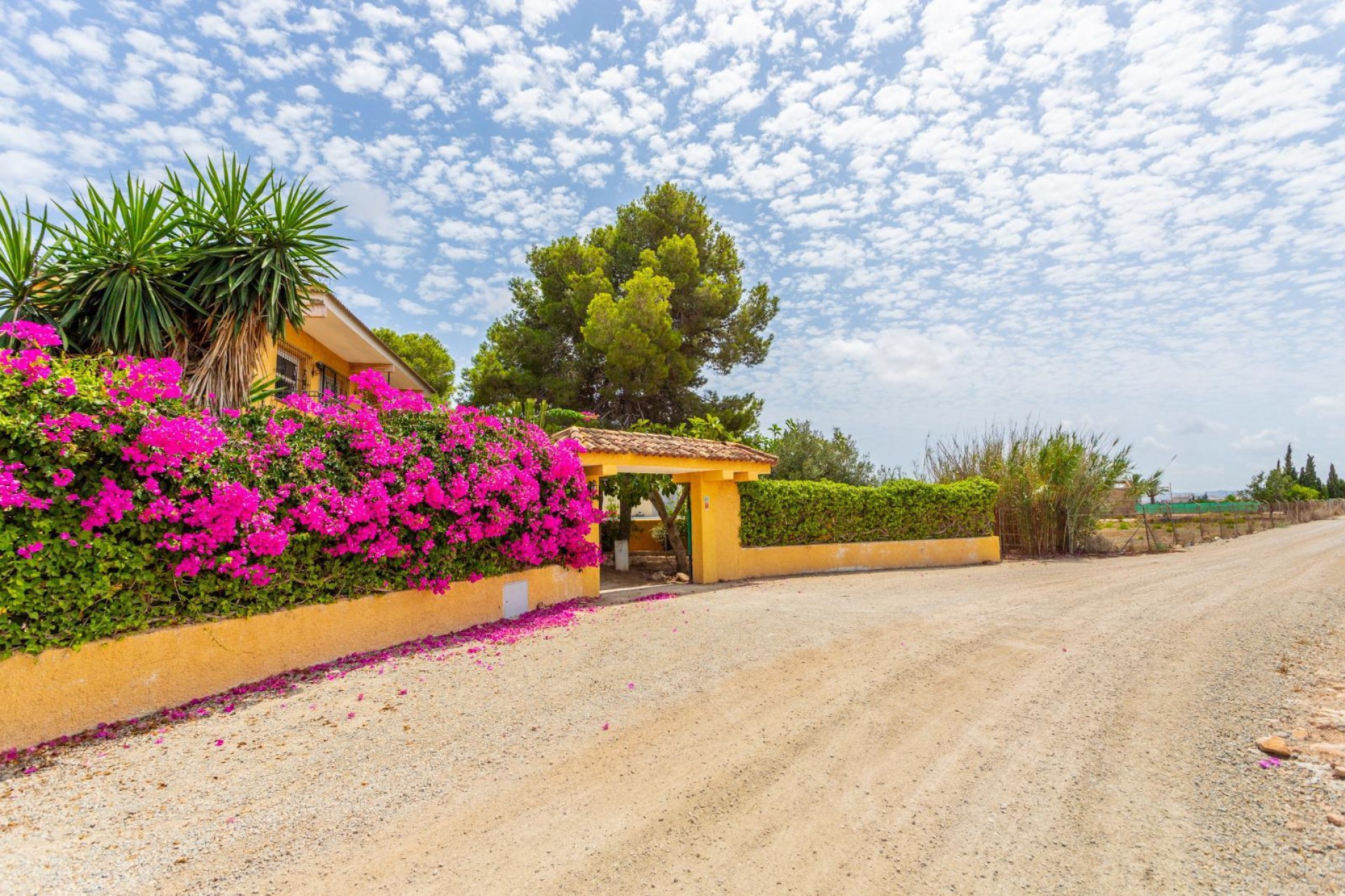 Återförsäljning - Villa -
Los Montesinos - Costa Blanca