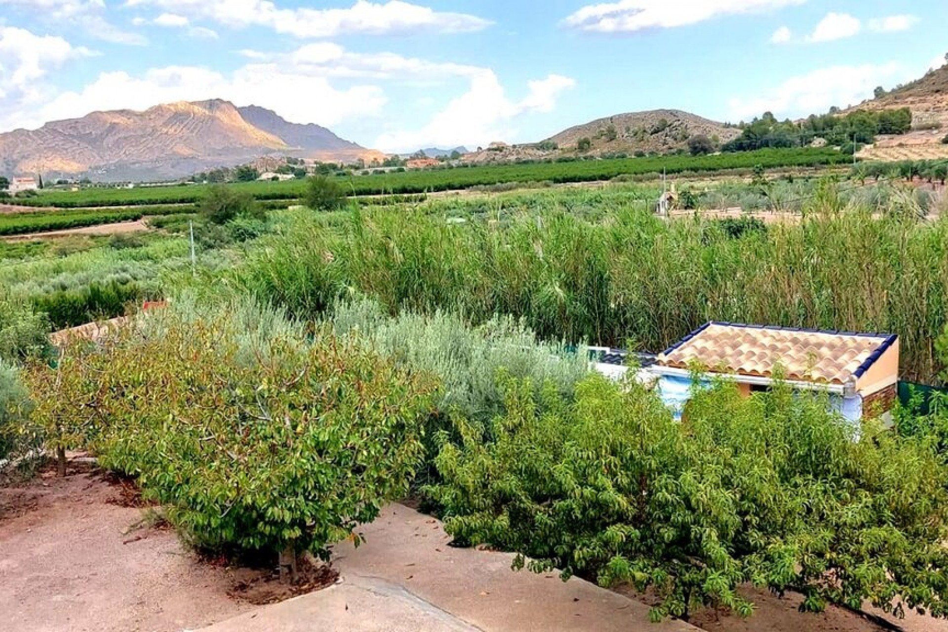 Återförsäljning - Villa -
Murcia - Inland