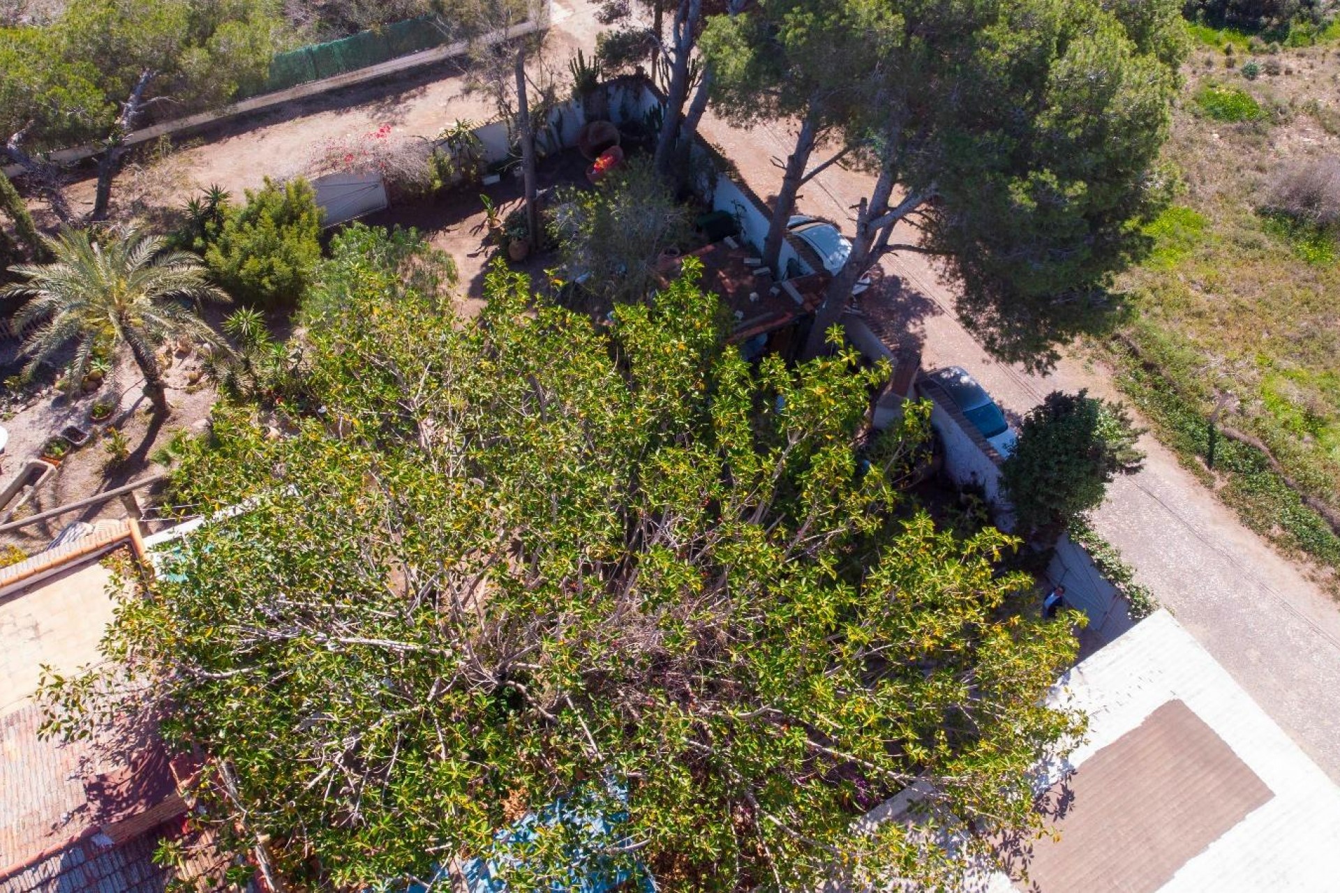 Återförsäljning - Villa -
Orihuela Costa - Lomas De Cabo Roig-los Dolses