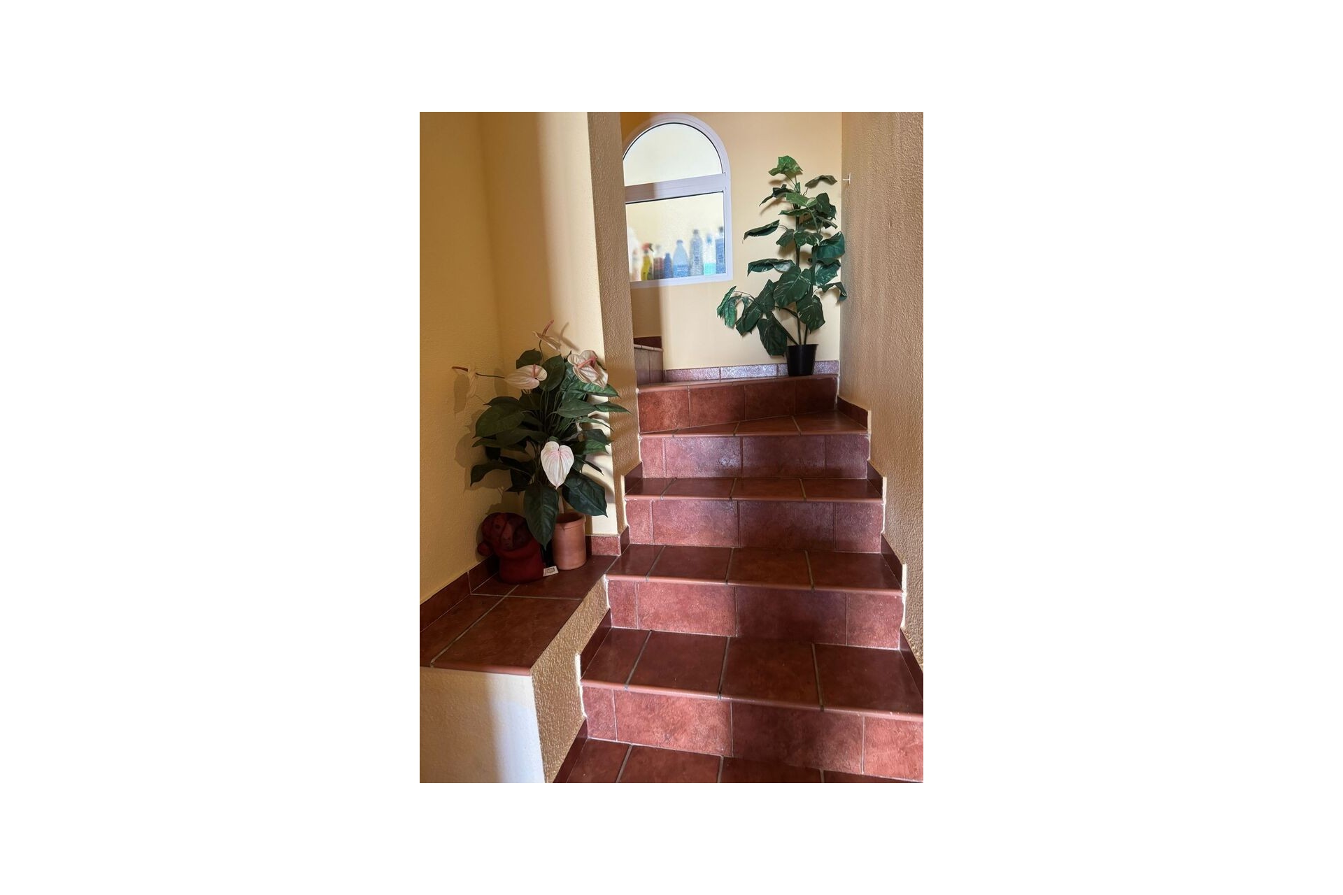 Återförsäljning - Villa -
Playa Flamenca - Costa Blanca