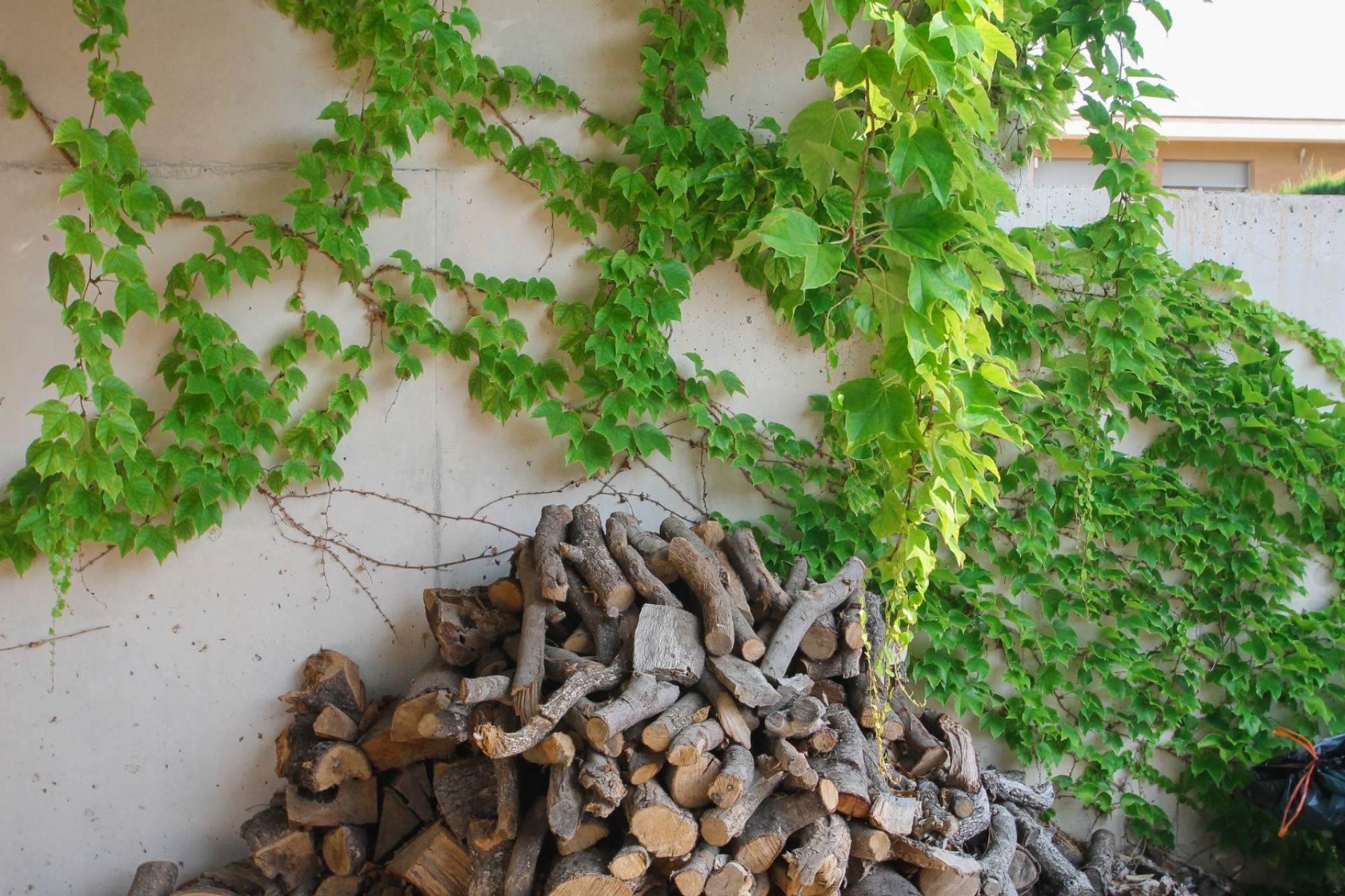 Återförsäljning - Villa -
San Vicente del Raspeig - Inland