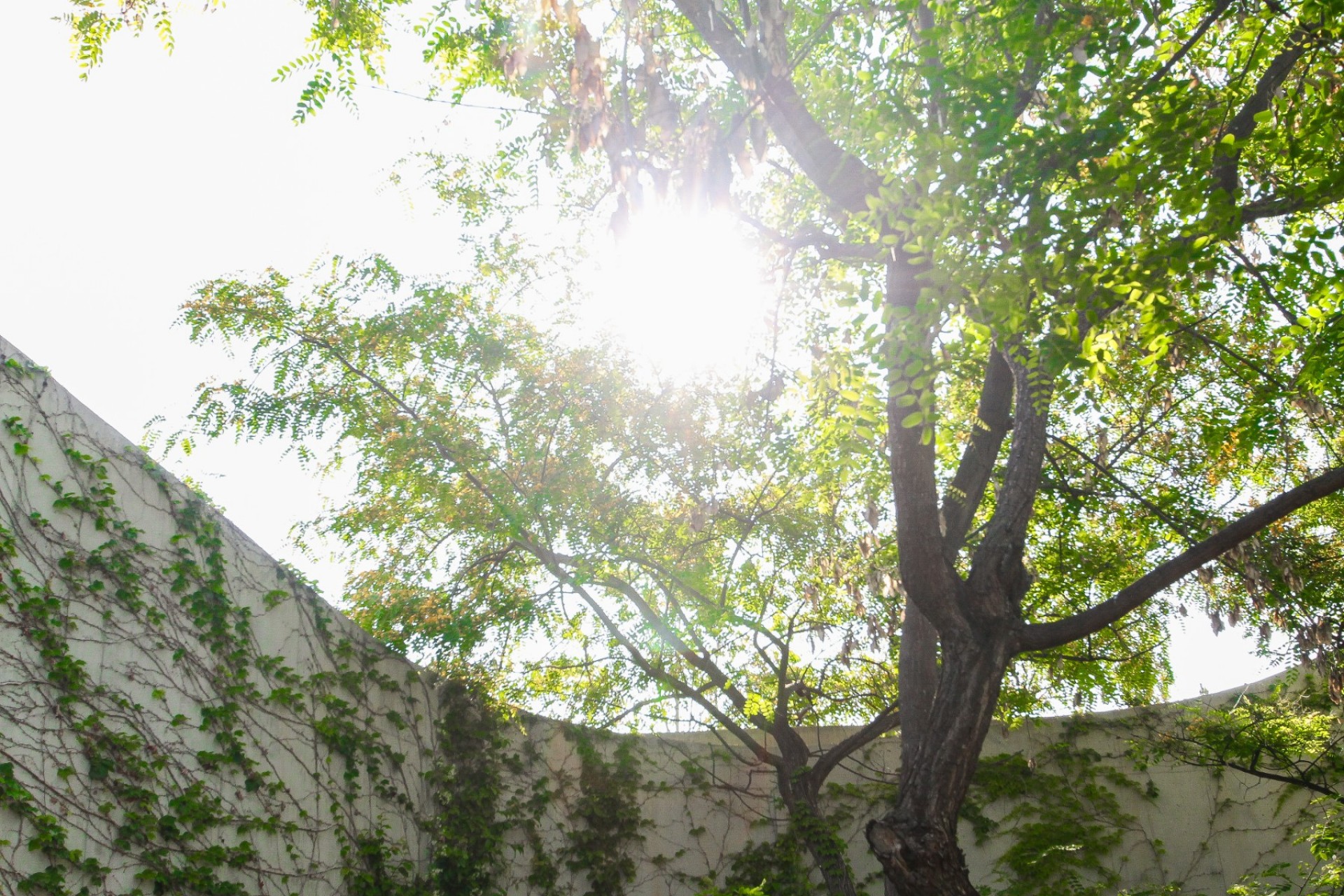 Återförsäljning - Villa -
San Vicente del Raspeig - Inland