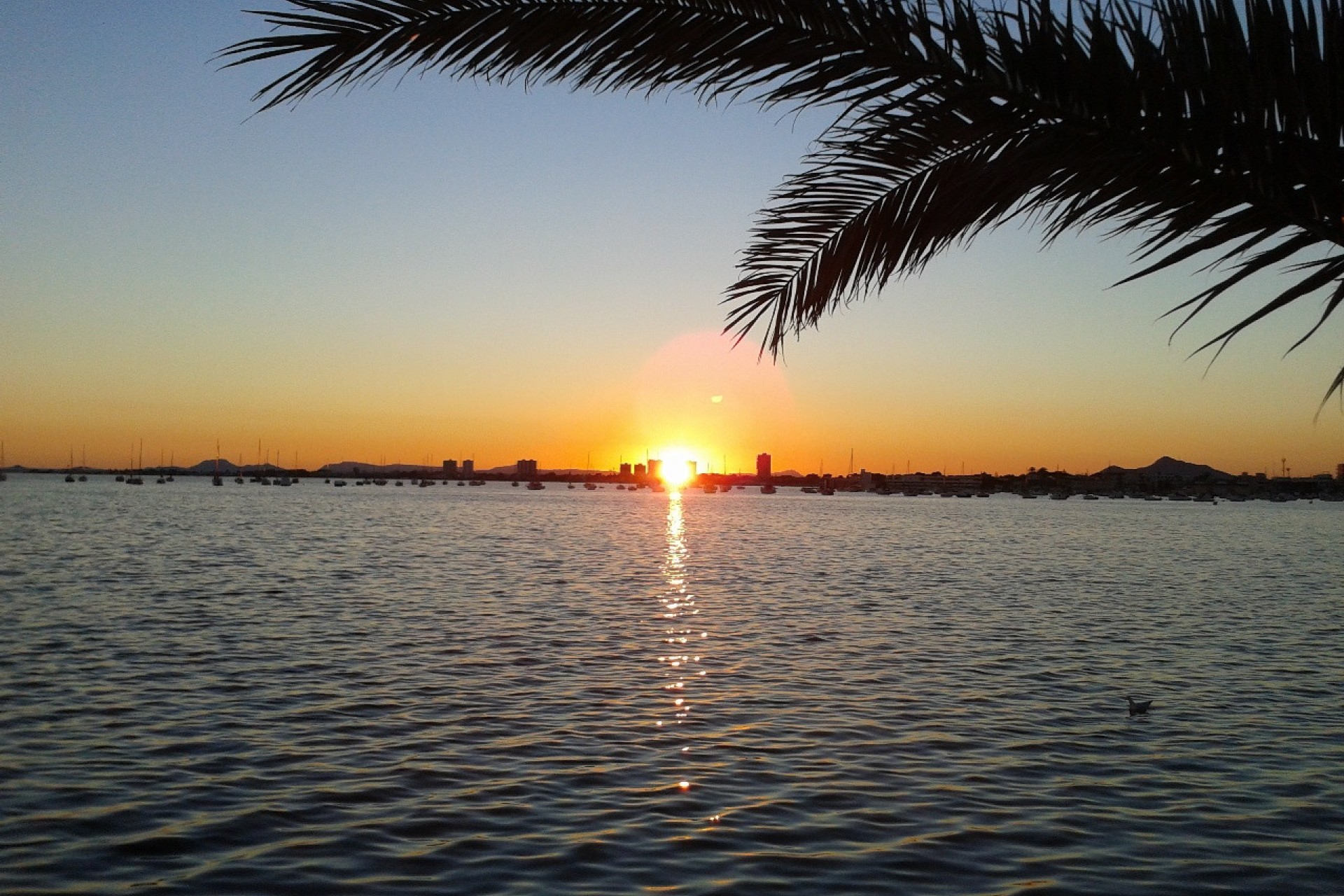 Återförsäljning - Villa -
Torre de la Horadada - Costa Blanca